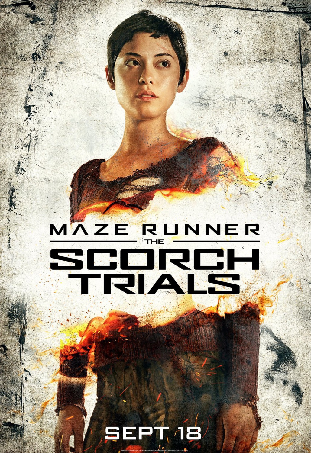 The Maze Runner 2 The Scorch Trials Movie Art Silk Wall Poster 24"x24" 020 