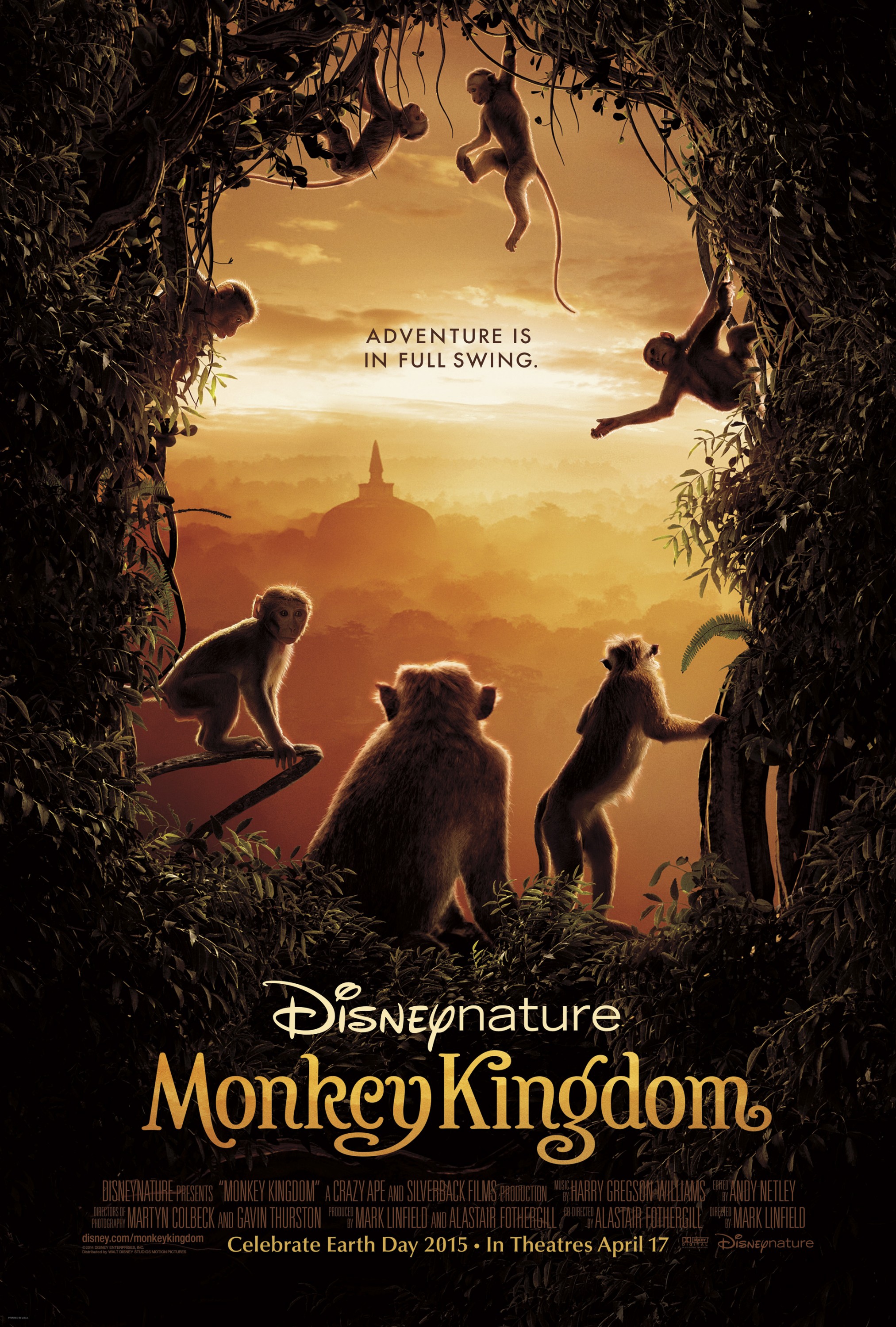 Mega Sized Movie Poster Image for Monkey Kingdom 