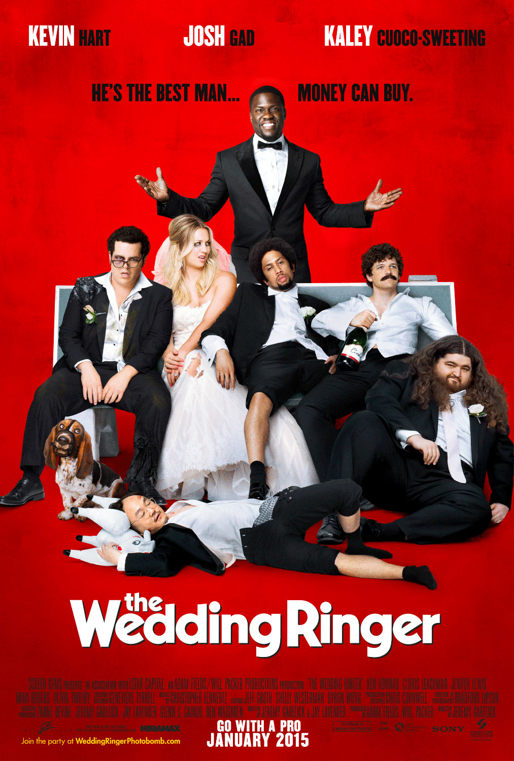 Extra Large Movie Poster Image for The Wedding Ringer (#1 of 2)