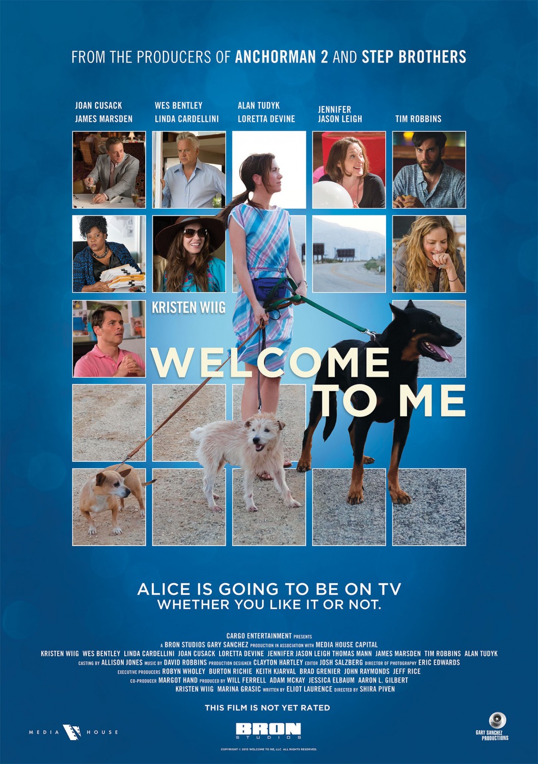 Extra Large Movie Poster Image for Welcome to Me (#1 of 2)