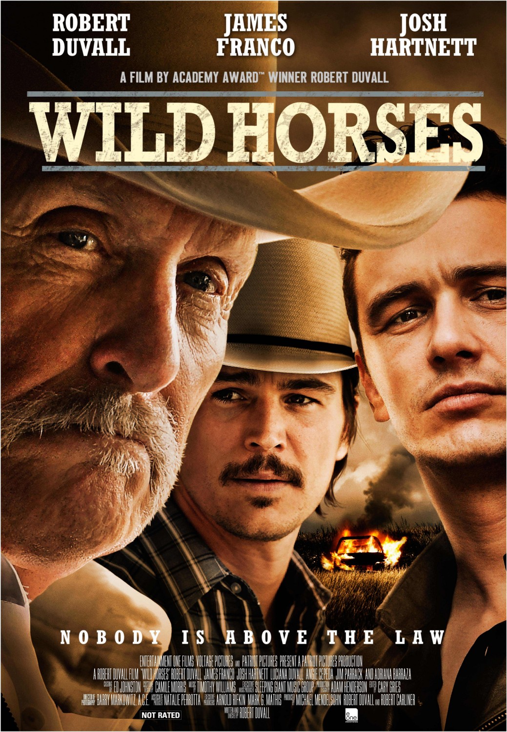 Extra Large Movie Poster Image for Wild Horses 
