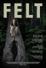 Felt (2015) Thumbnail
