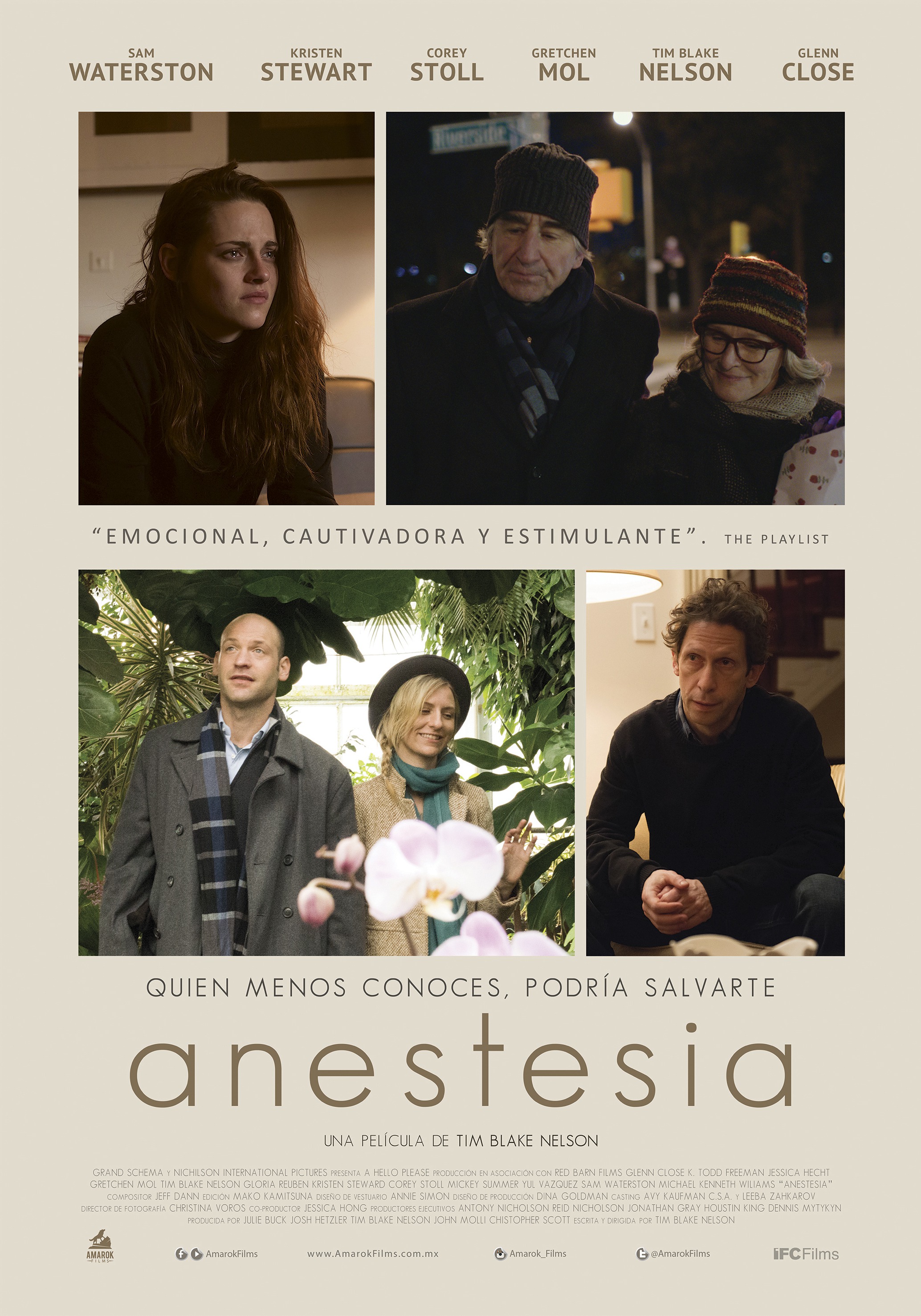Mega Sized Movie Poster Image for Anesthesia (#2 of 2)