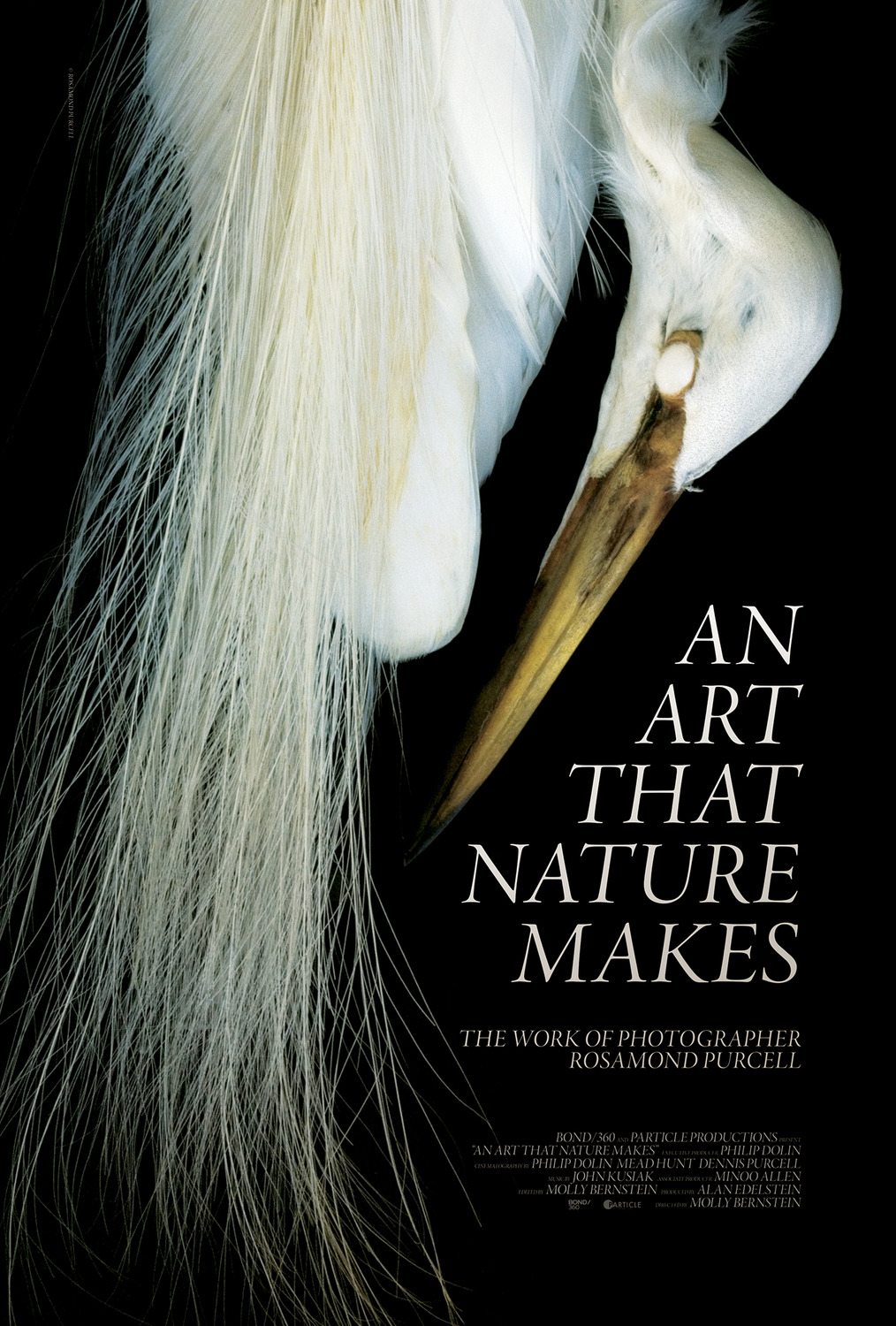 Extra Large Movie Poster Image for An Art That Nature Makes: The Work of Rosamond Purcell 
