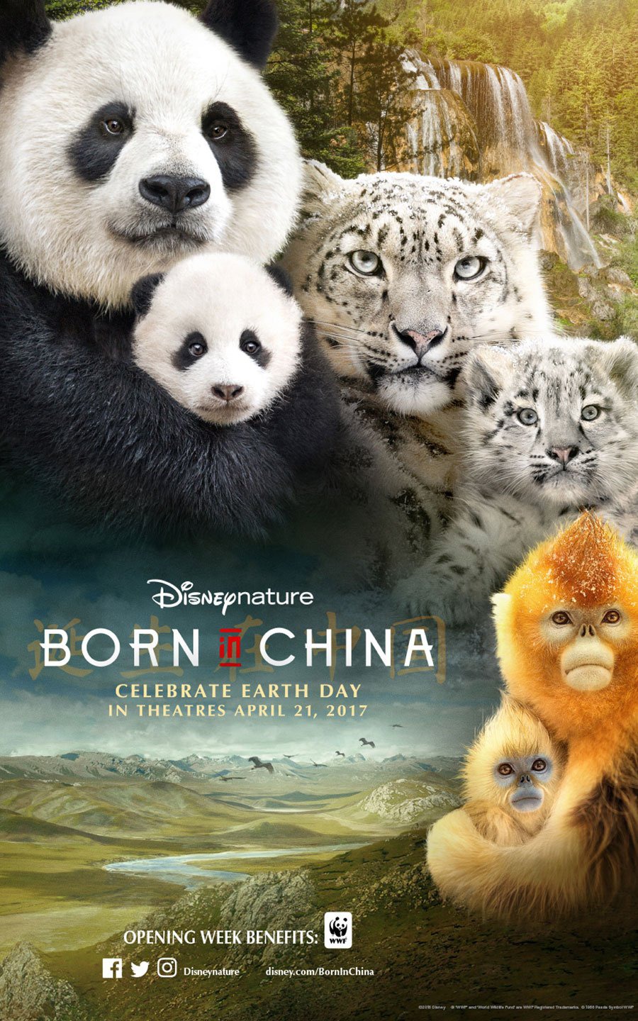Extra Large Movie Poster Image for Born in China (#2 of 5)