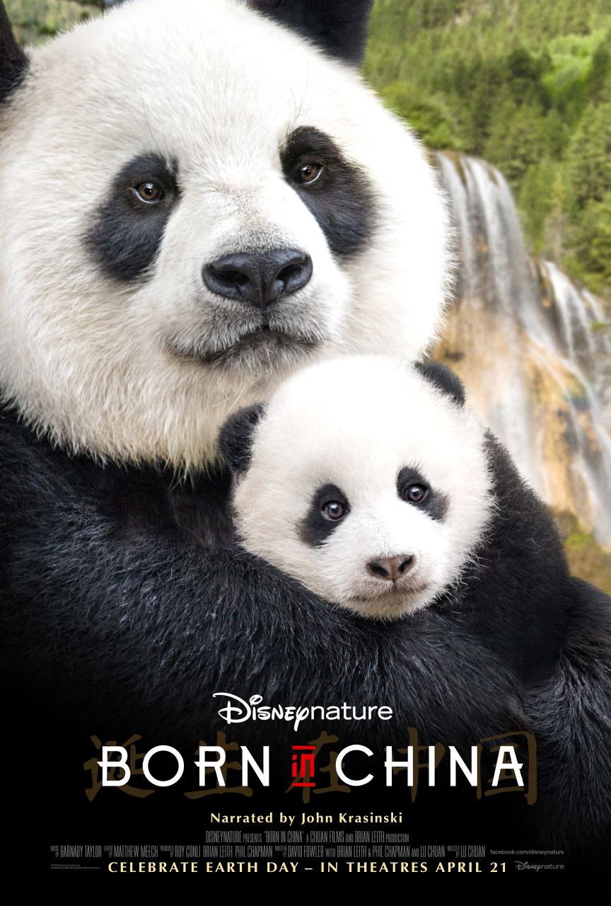 Extra Large Movie Poster Image for Born in China (#1 of 5)