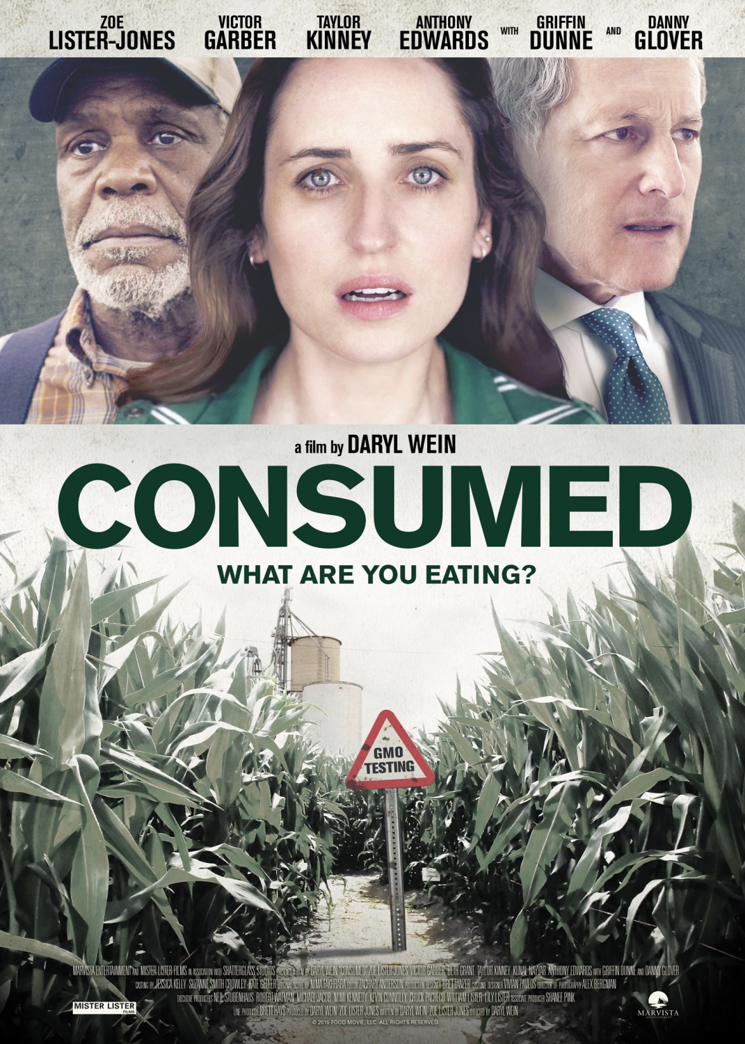 Extra Large Movie Poster Image for Consumed 