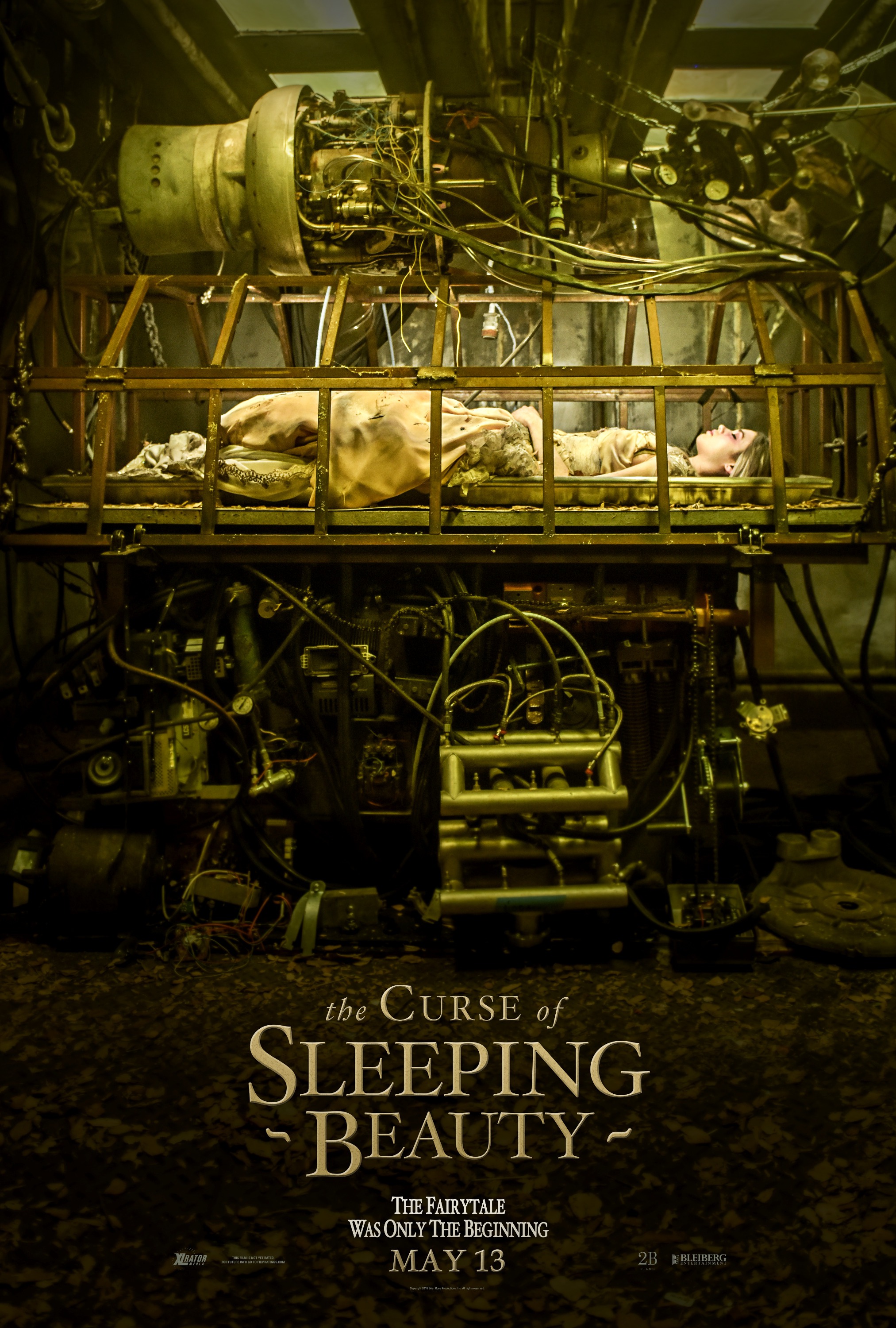 Mega Sized Movie Poster Image for The Curse of Sleeping Beauty (#1 of 3)