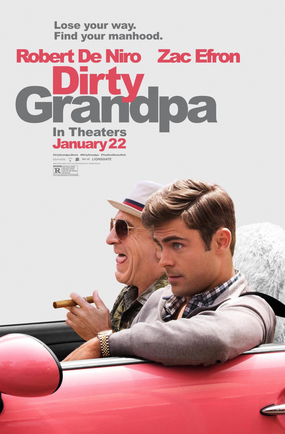 Extra Large Movie Poster Image for Dirty Grandpa (#3 of 11)