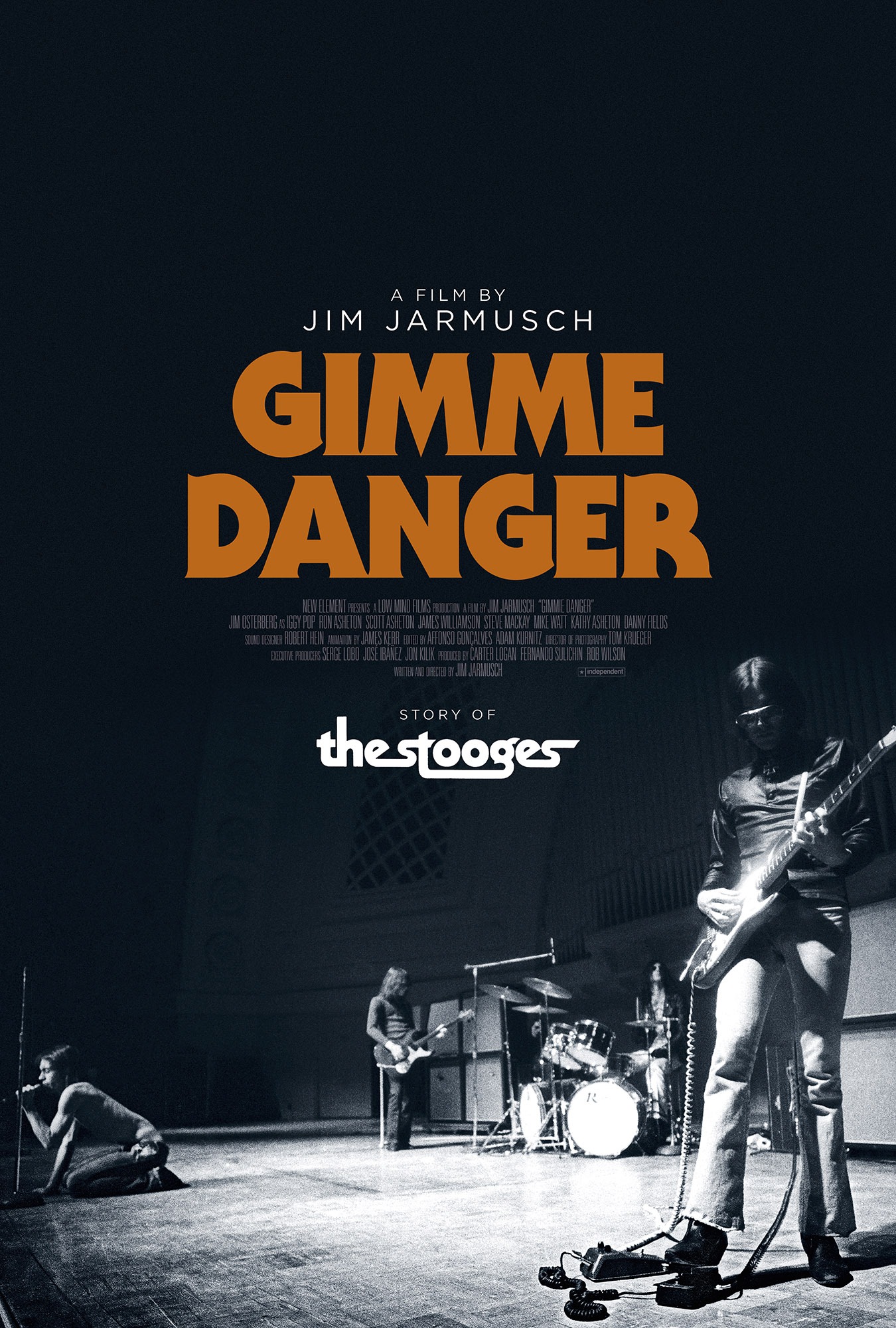 Mega Sized Movie Poster Image for Gimme Danger (#1 of 4)