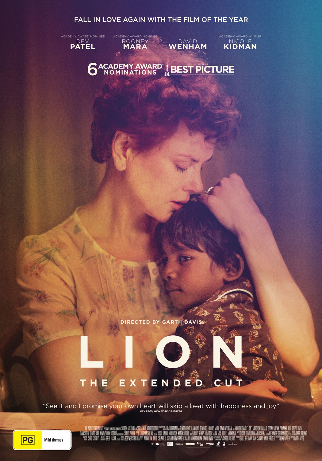 Extra Large Movie Poster Image for Lion (#11 of 12)