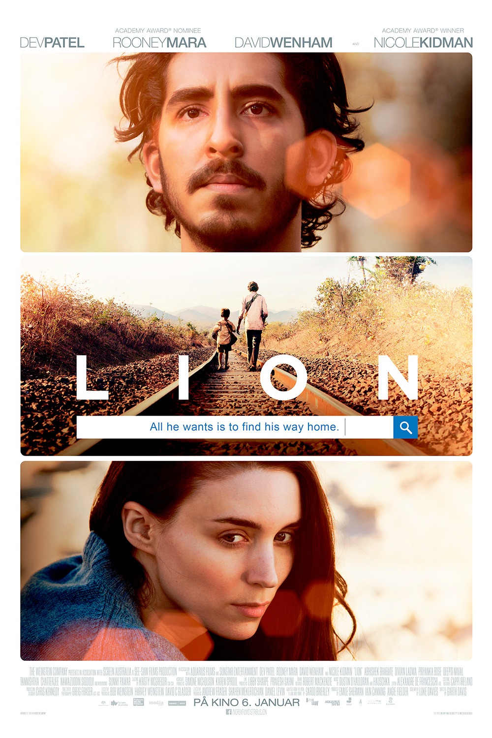 Extra Large Movie Poster Image for Lion (#9 of 12)