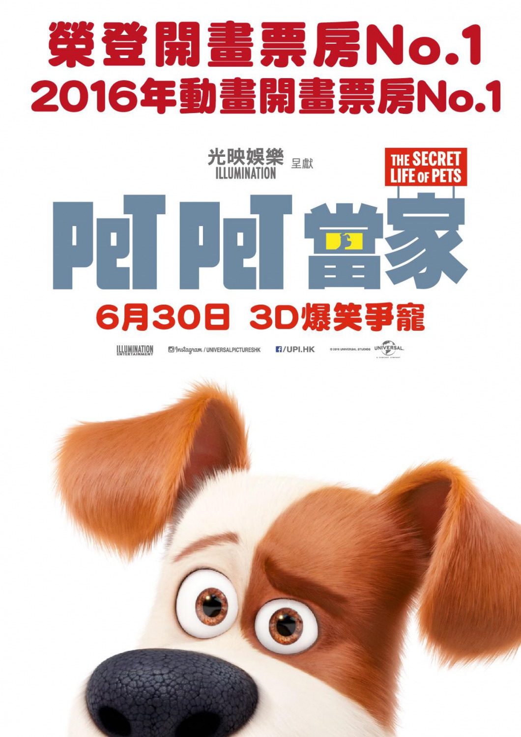 Extra Large Movie Poster Image for The Secret Life of Pets (#12 of 19)