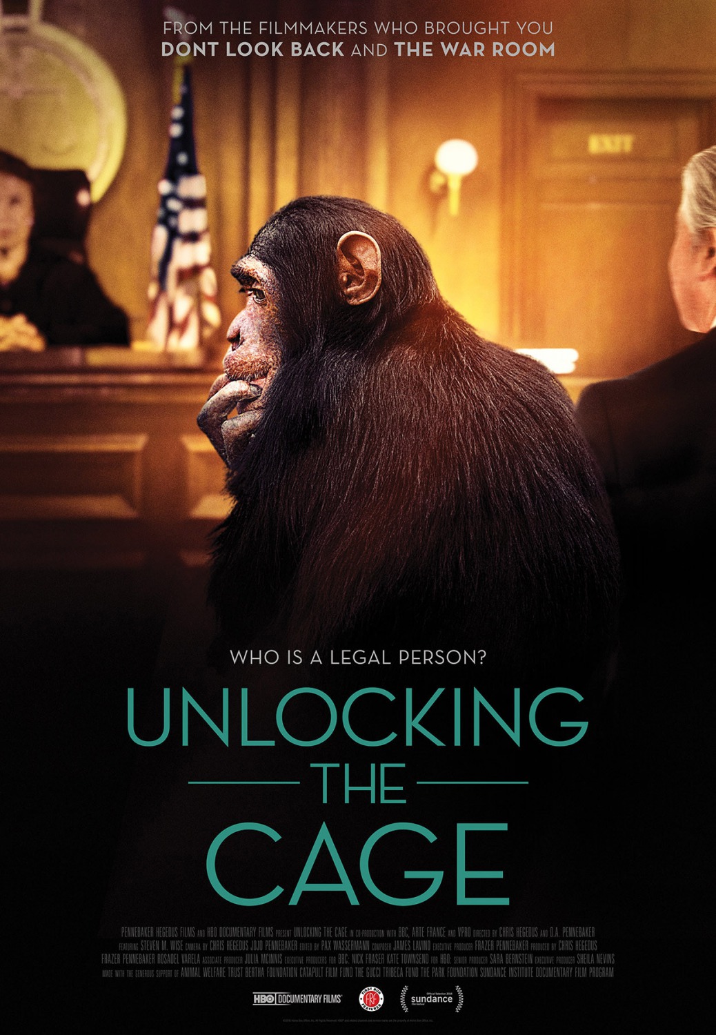 Extra Large Movie Poster Image for Unlocking the Cage 