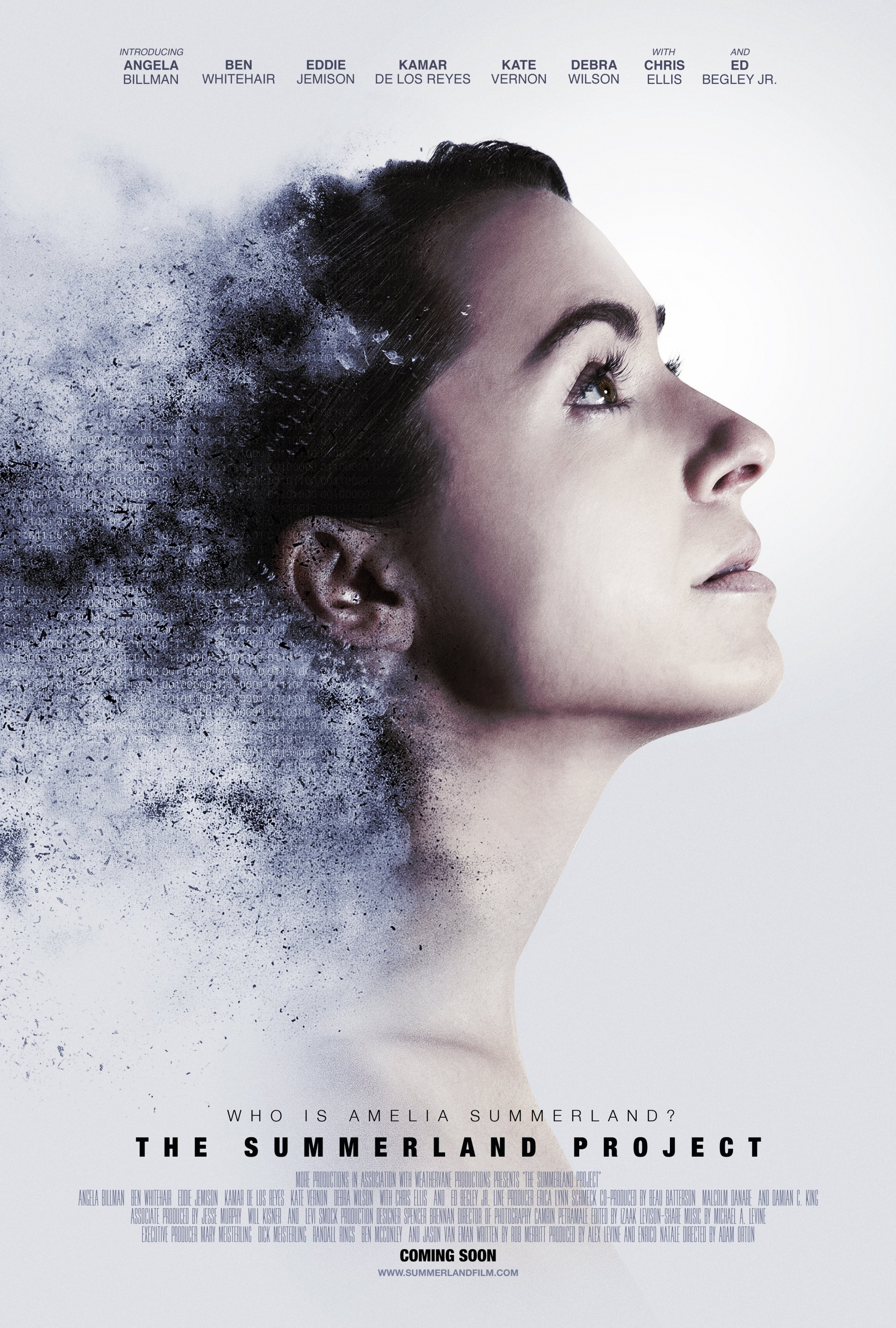 Mega Sized Movie Poster Image for Amelia 2.0 