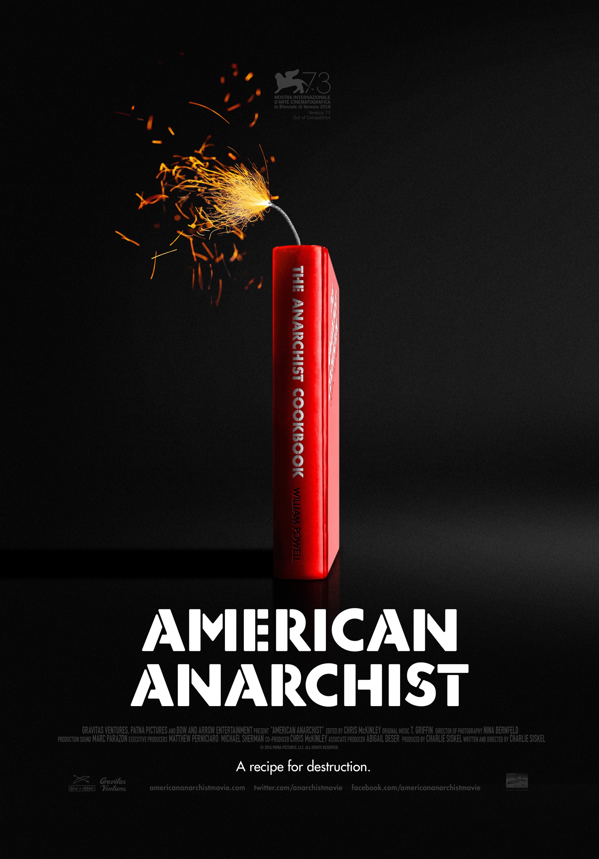 Mega Sized Movie Poster Image for American Anarchist 