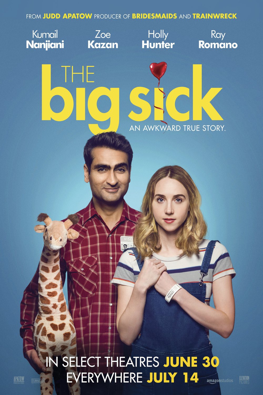 Extra Large Movie Poster Image for The Big Sick (#2 of 3)
