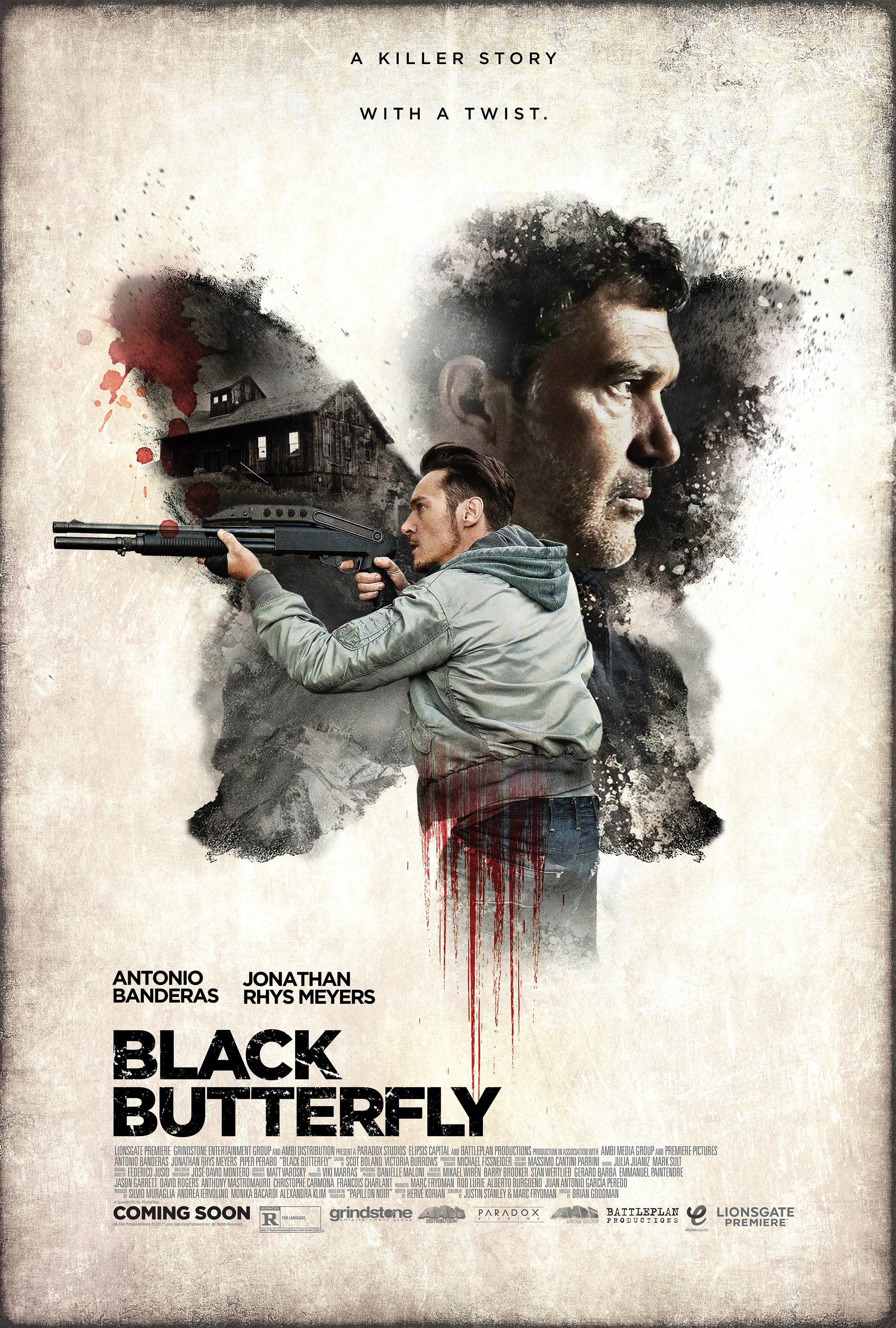 Mega Sized Movie Poster Image for Black Butterfly (#2 of 2)