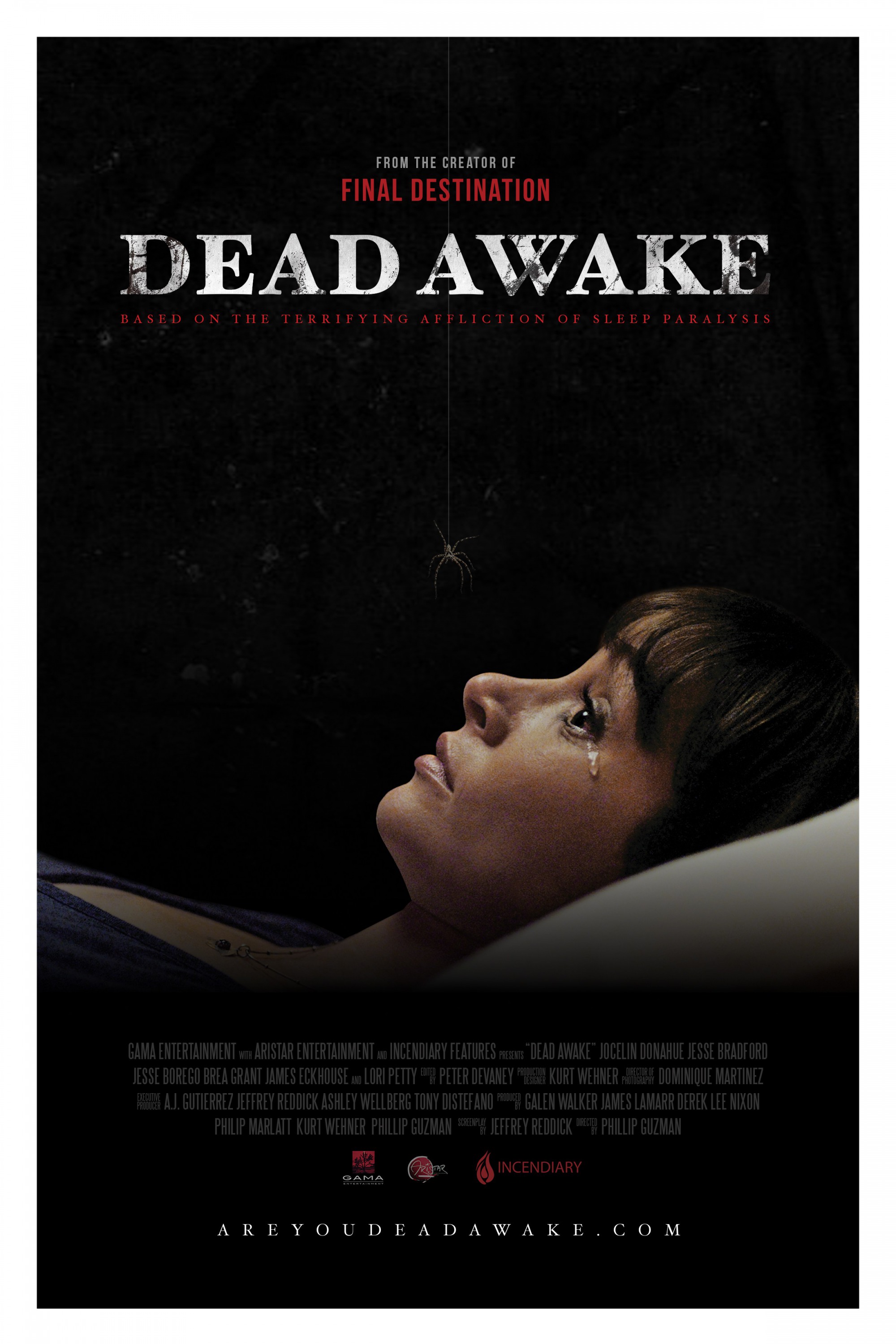 Mega Sized Movie Poster Image for Dead Awake 