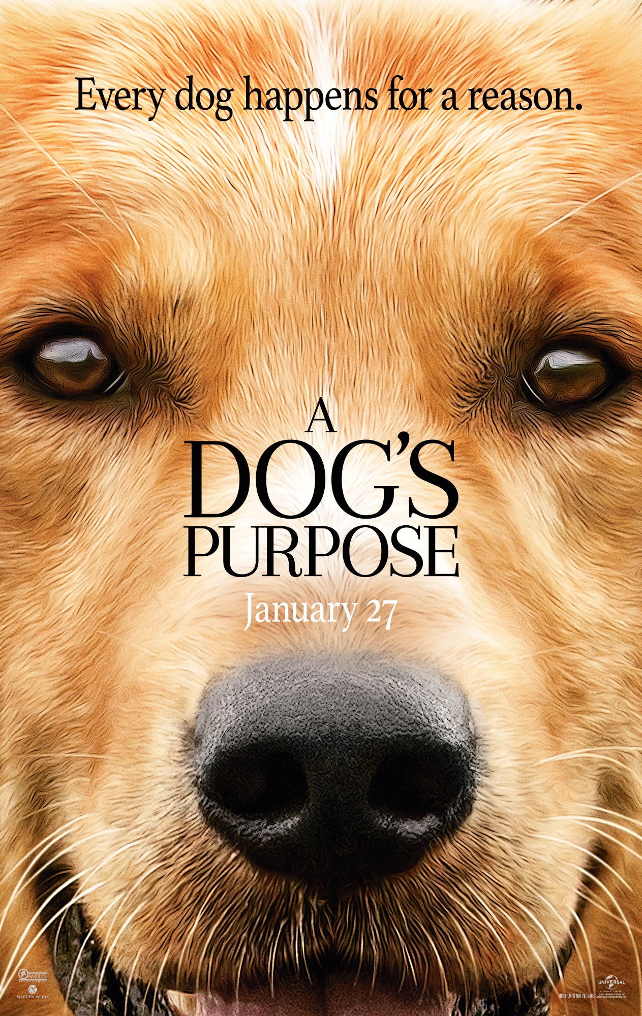 Mega Sized Movie Poster Image for A Dog's Purpose (#1 of 13)
