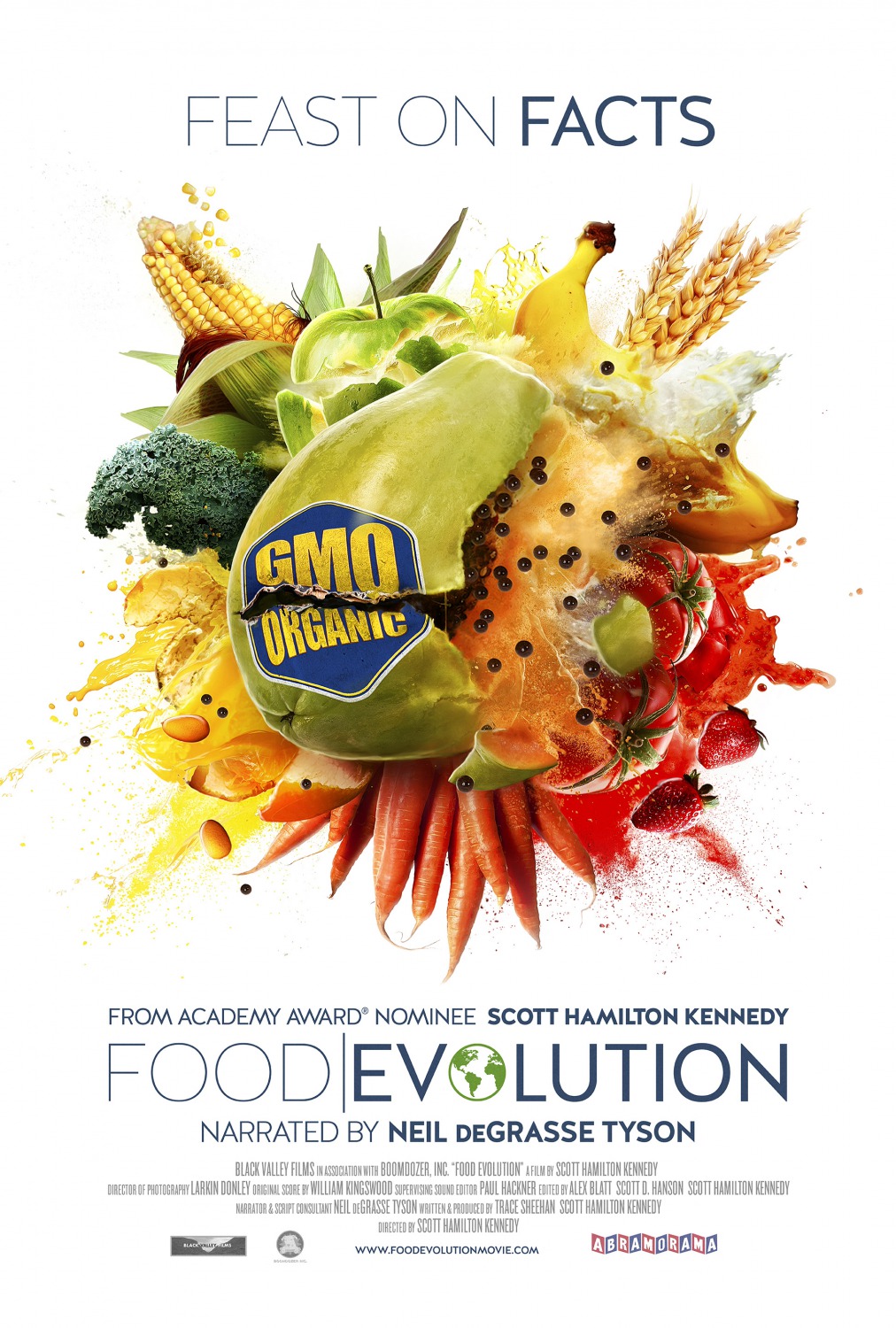 Extra Large Movie Poster Image for Food Evolution 