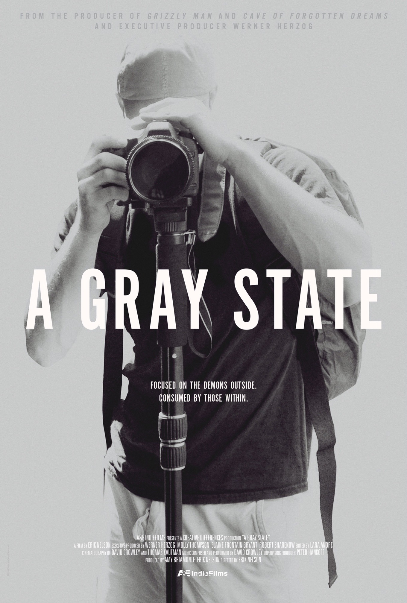Mega Sized Movie Poster Image for A Gray State 