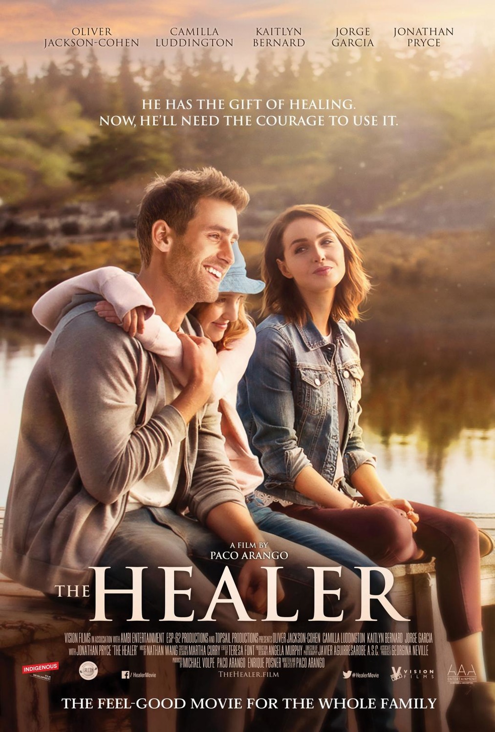 Extra Large Movie Poster Image for The Healer 