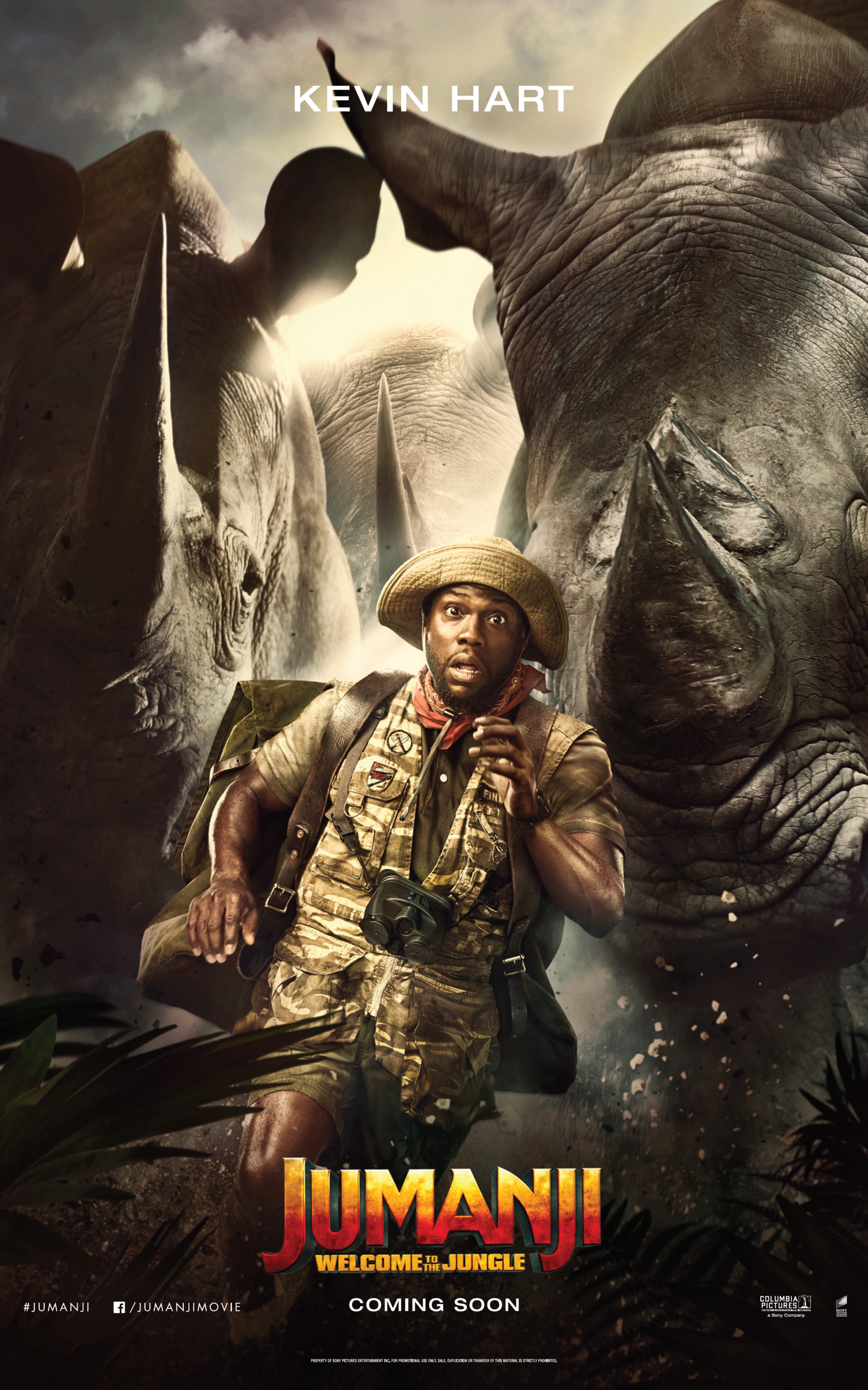 Mega Sized Movie Poster Image for Jumanji: Welcome to the Jungle (#10 of 23)