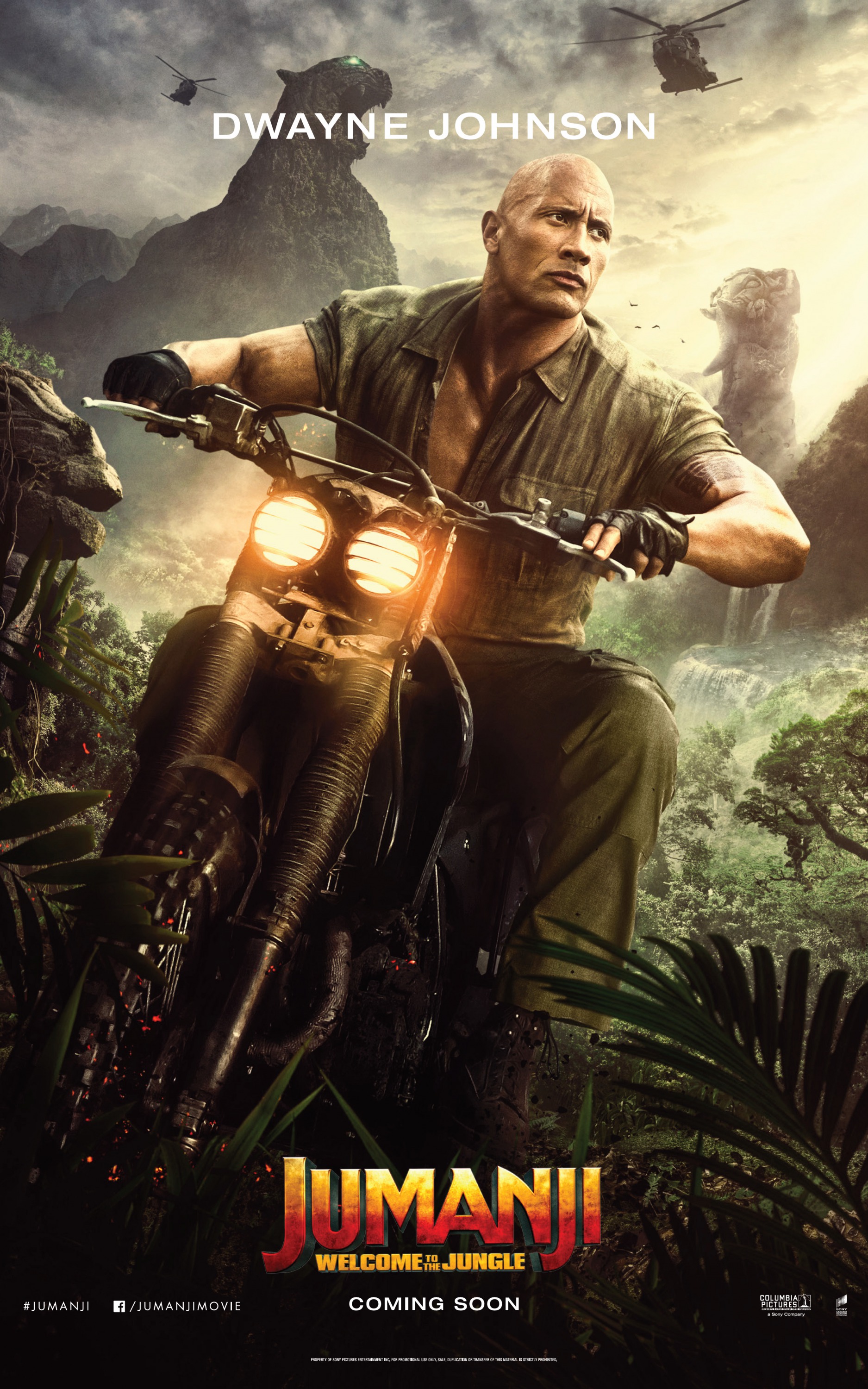 Mega Sized Movie Poster Image for Jumanji: Welcome to the Jungle (#7 of 23)