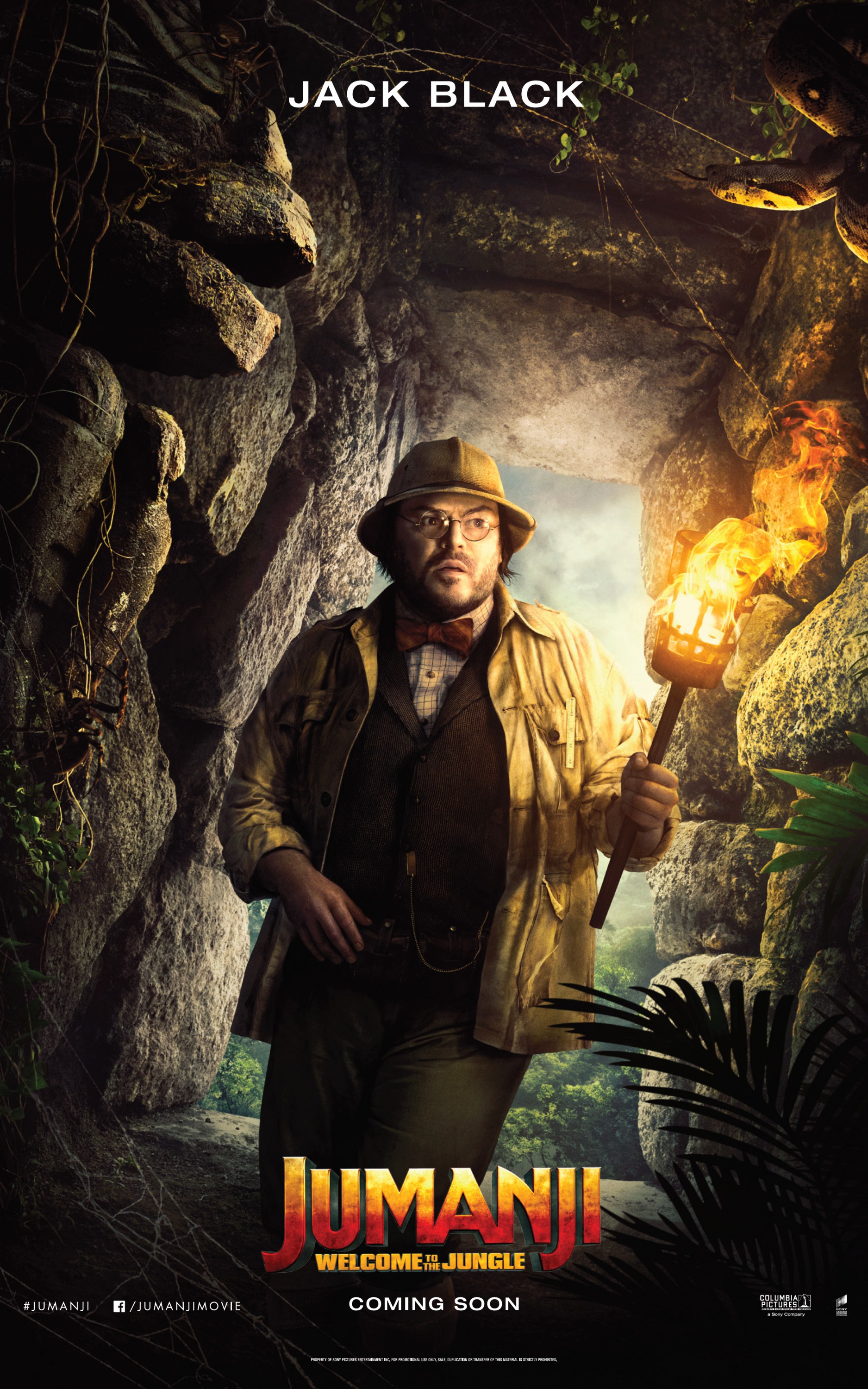 Mega Sized Movie Poster Image for Jumanji: Welcome to the Jungle (#8 of 23)