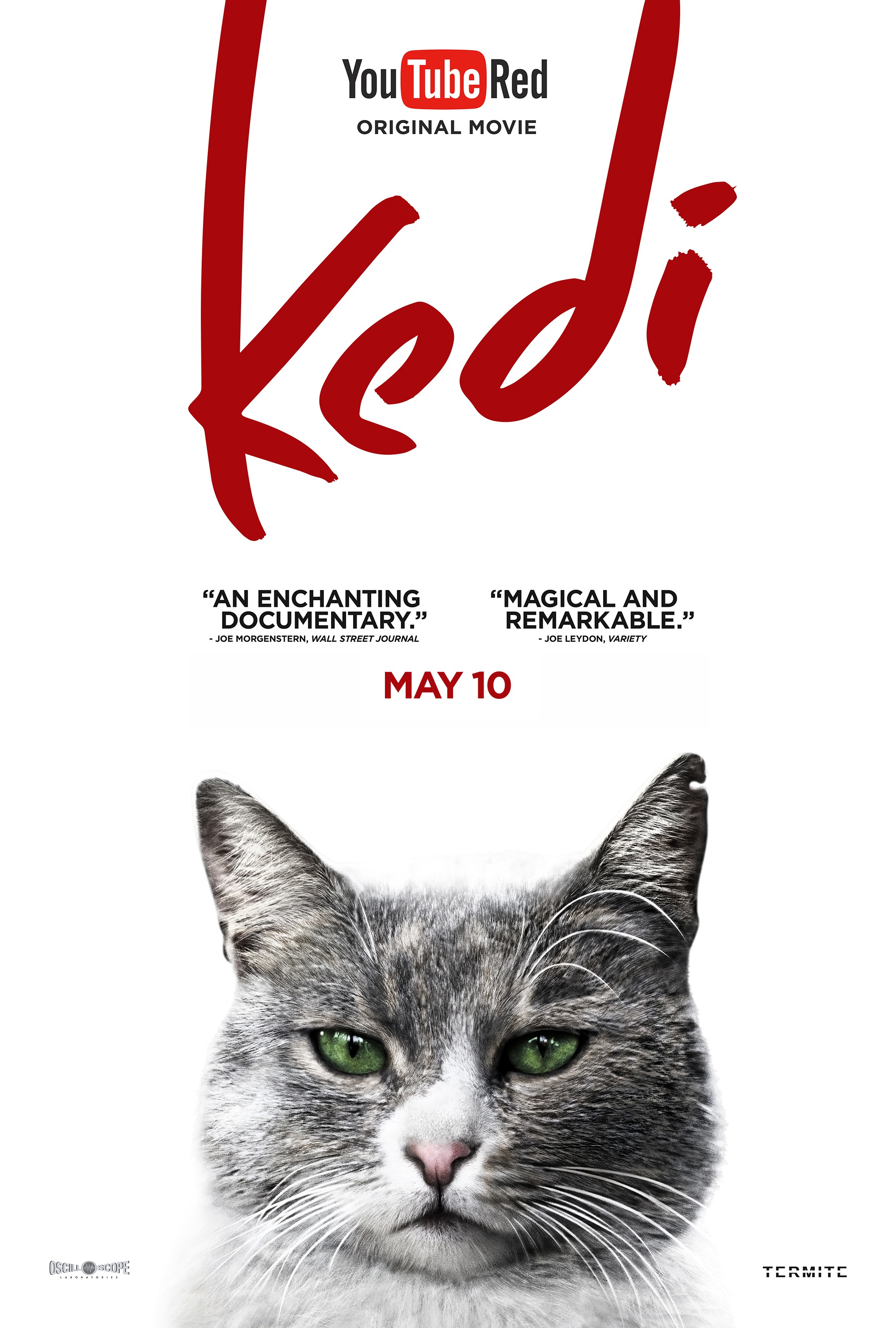 Mega Sized Movie Poster Image for Kedi (#2 of 13)