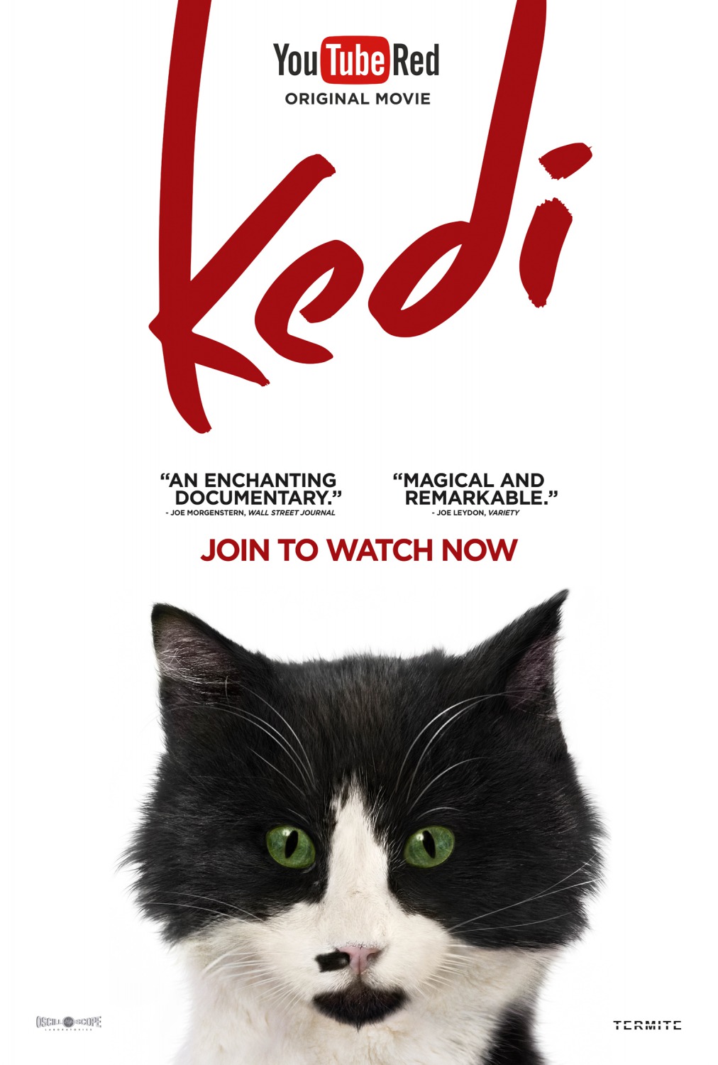 Extra Large Movie Poster Image for Kedi (#3 of 13)