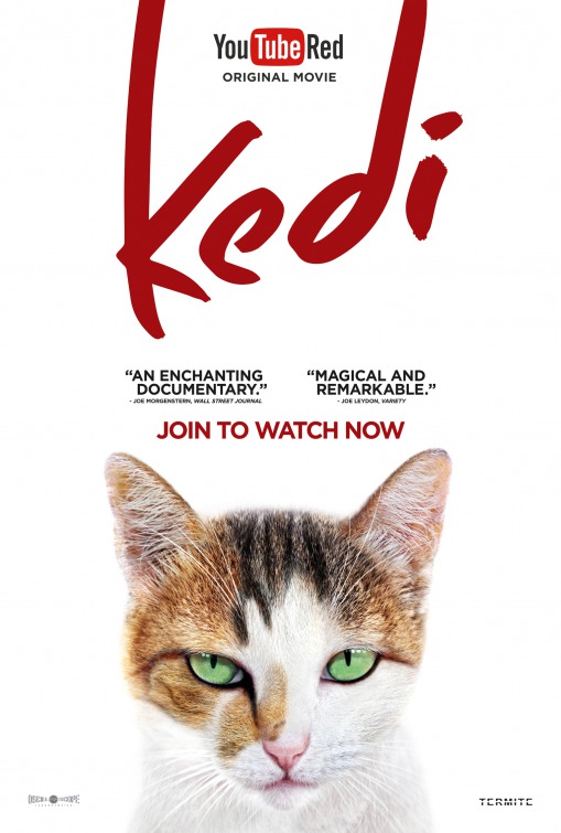 Kedi Movie Poster