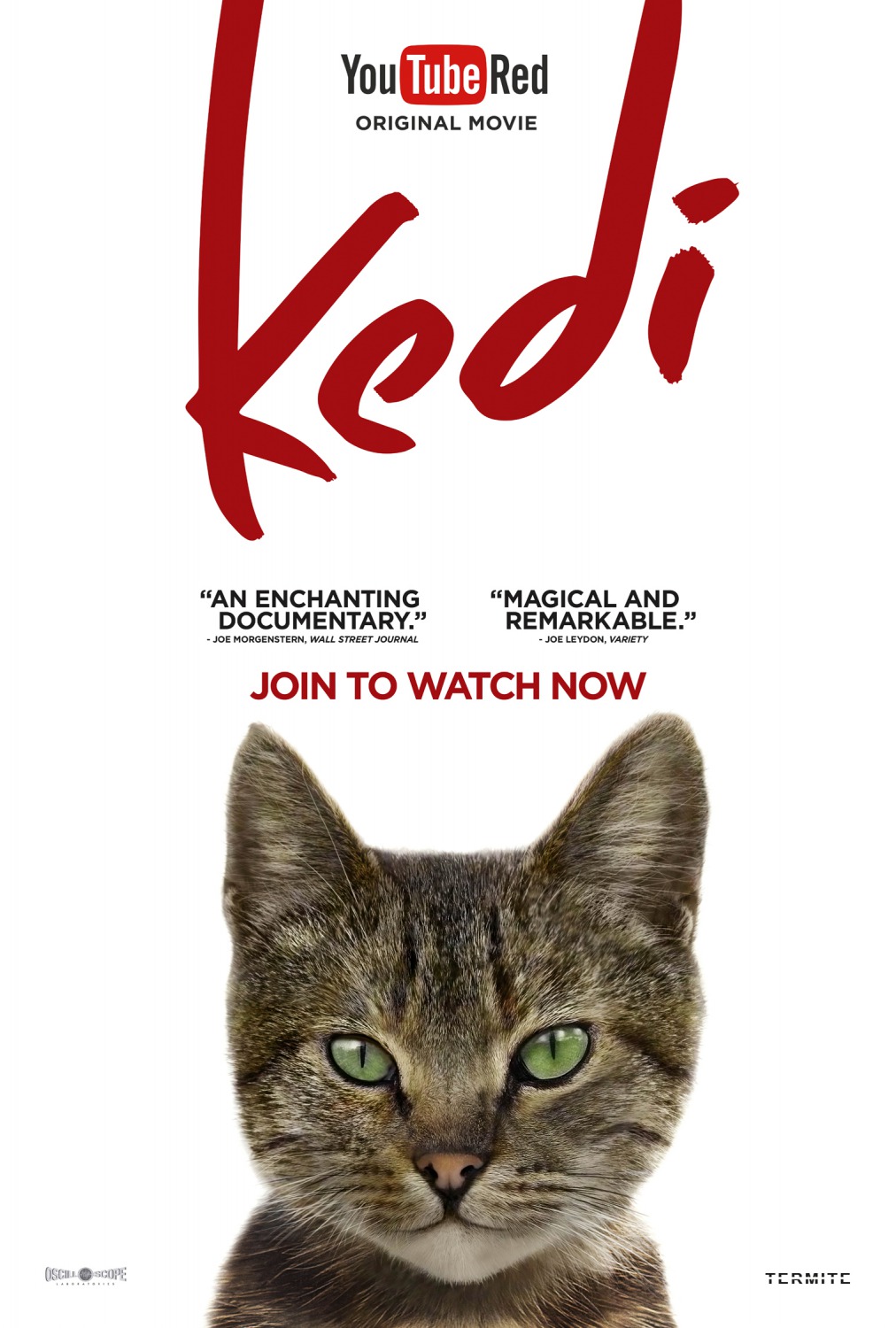 Extra Large Movie Poster Image for Kedi (#6 of 13)