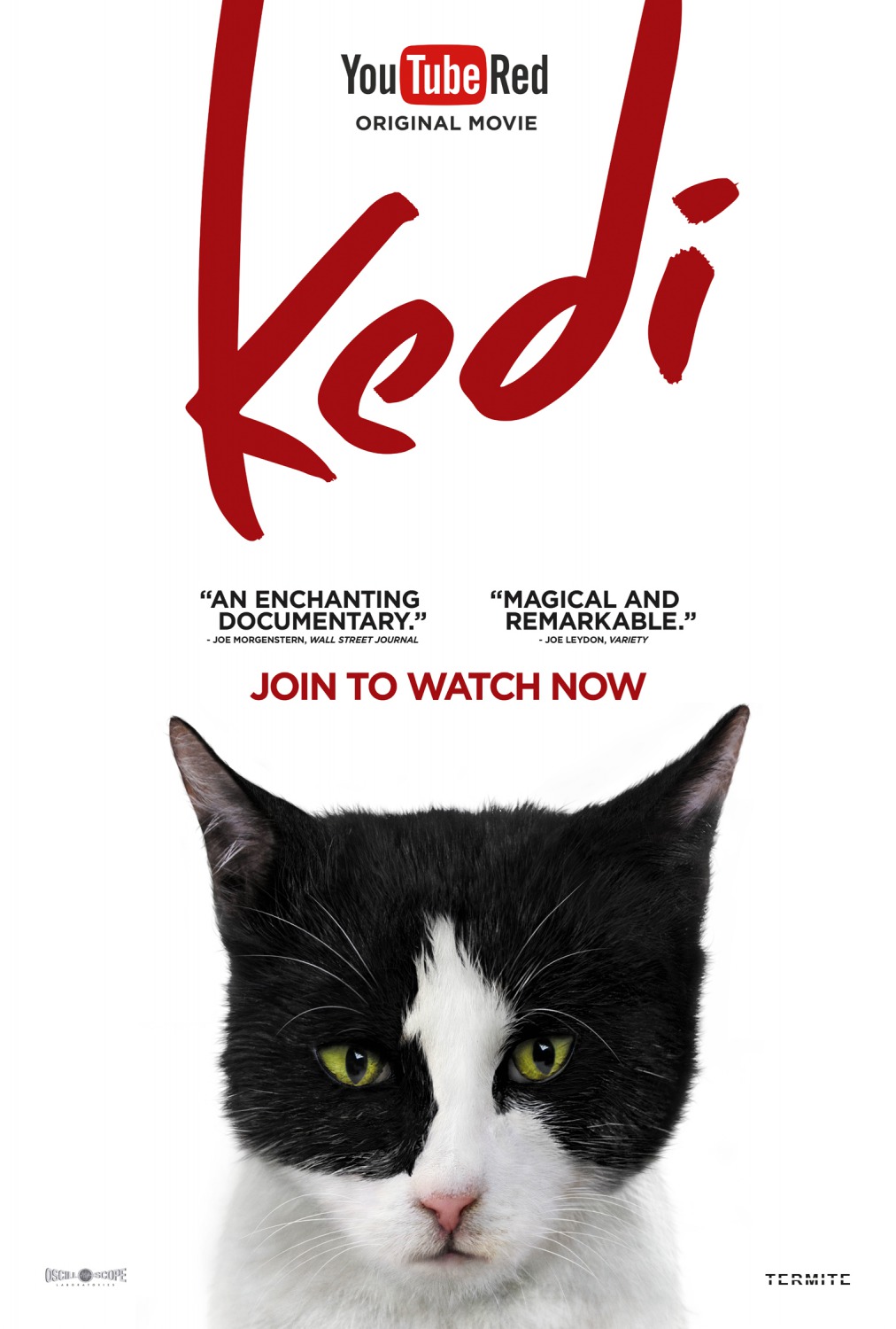 Extra Large Movie Poster Image for Kedi (#7 of 13)
