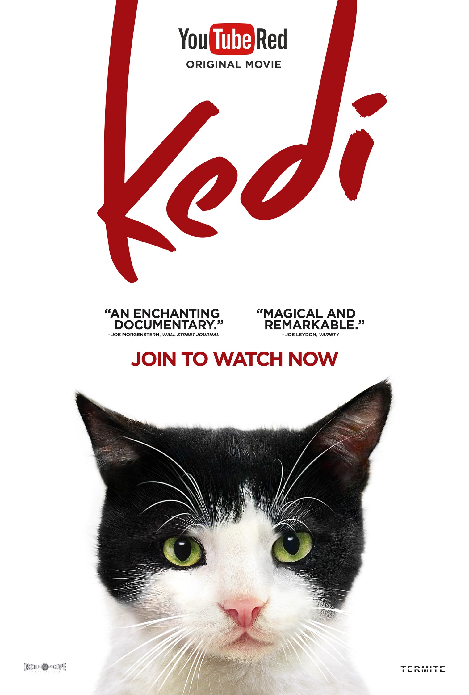 Mega Sized Movie Poster Image for Kedi (#8 of 13)