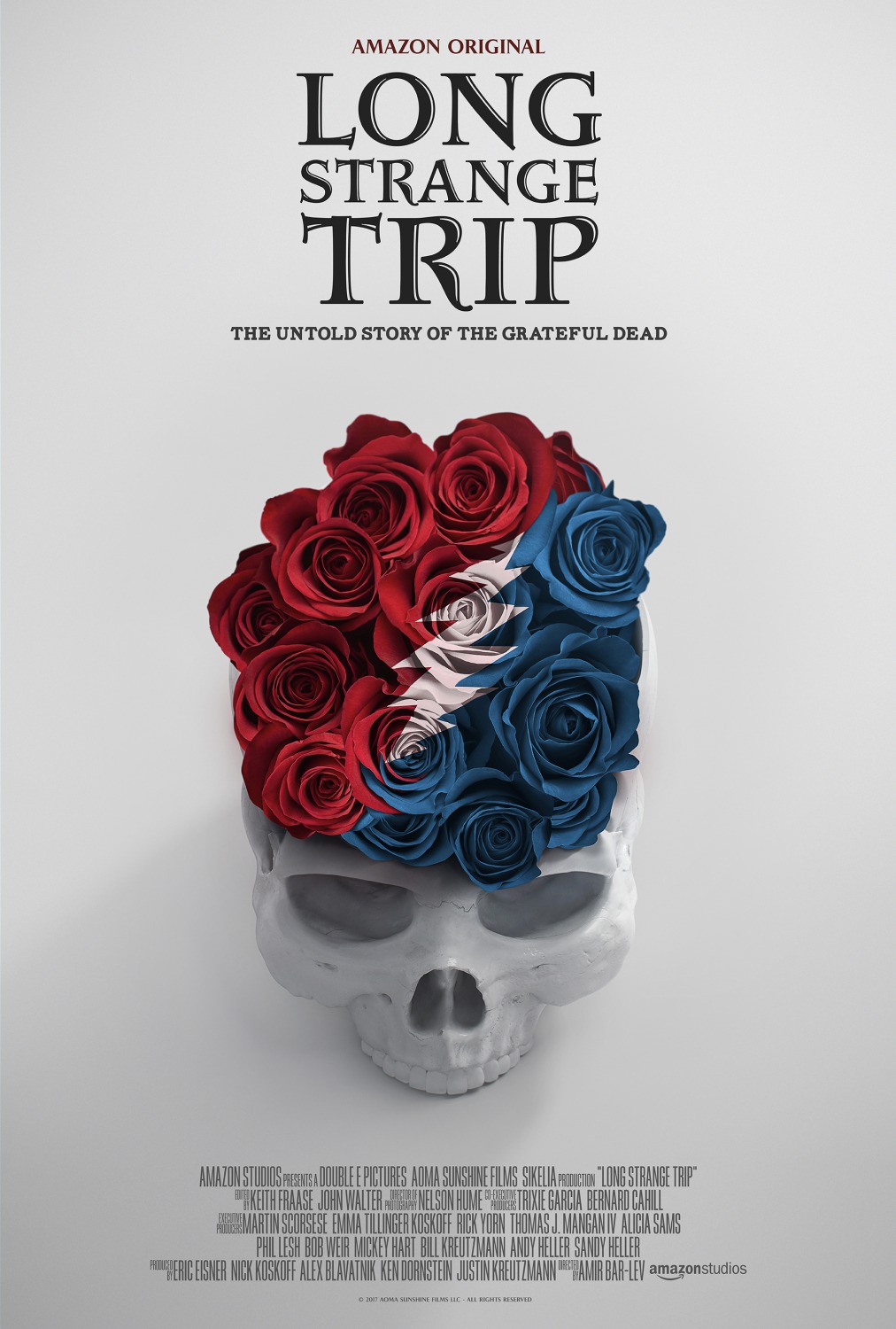 Extra Large Movie Poster Image for Long Strange Trip 