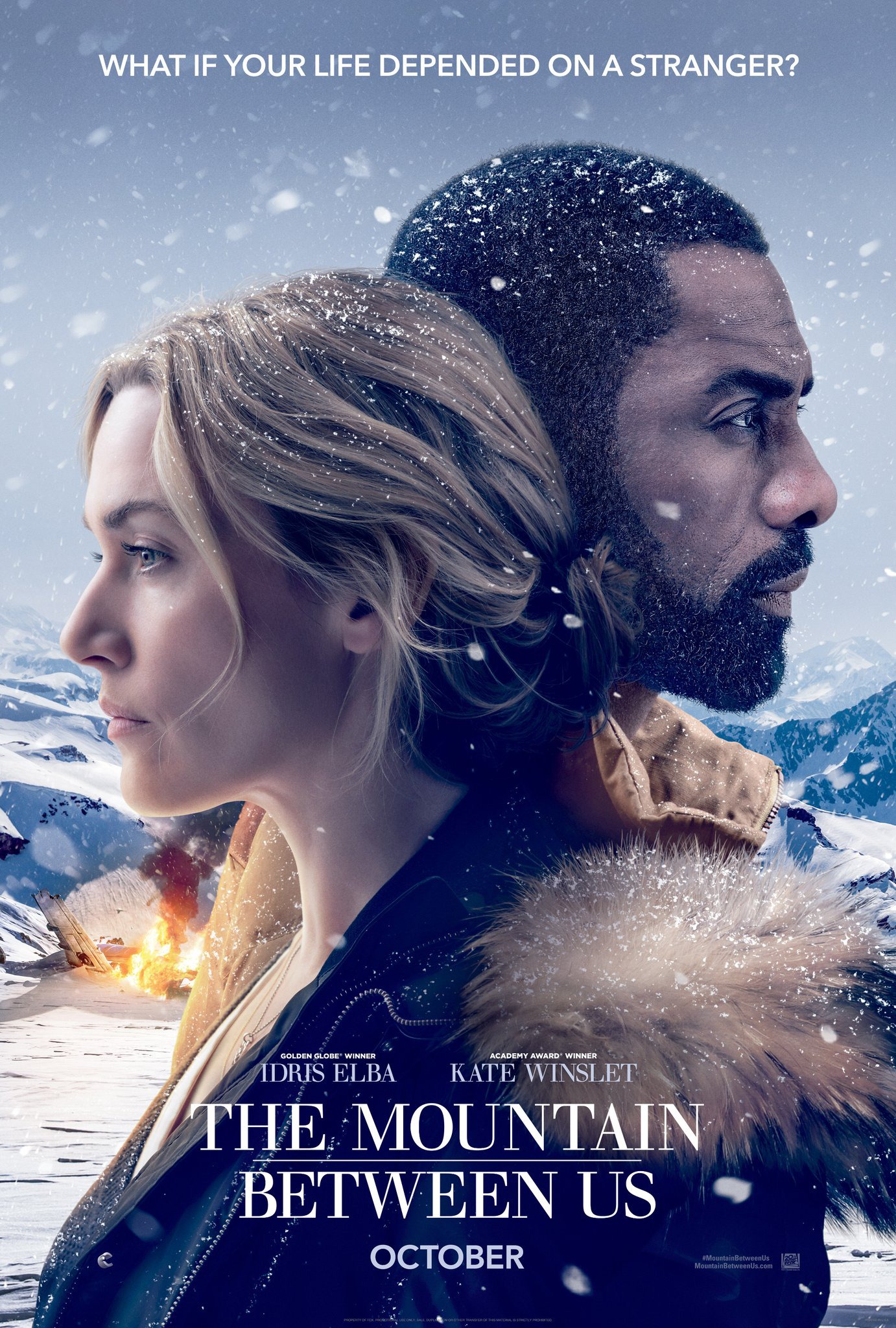 Mega Sized Movie Poster Image for The Mountain Between Us (#1 of 2)