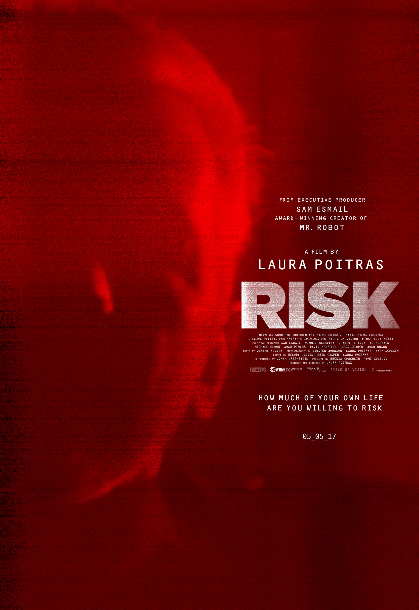 Mega Sized Movie Poster Image for Risk 