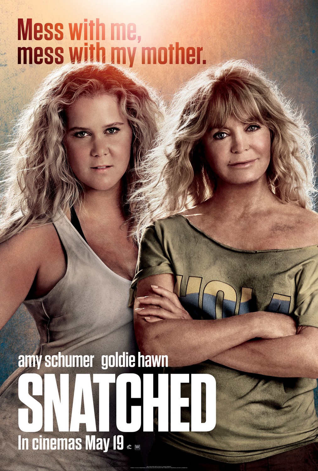 Extra Large Movie Poster Image for Snatched (#2 of 3)