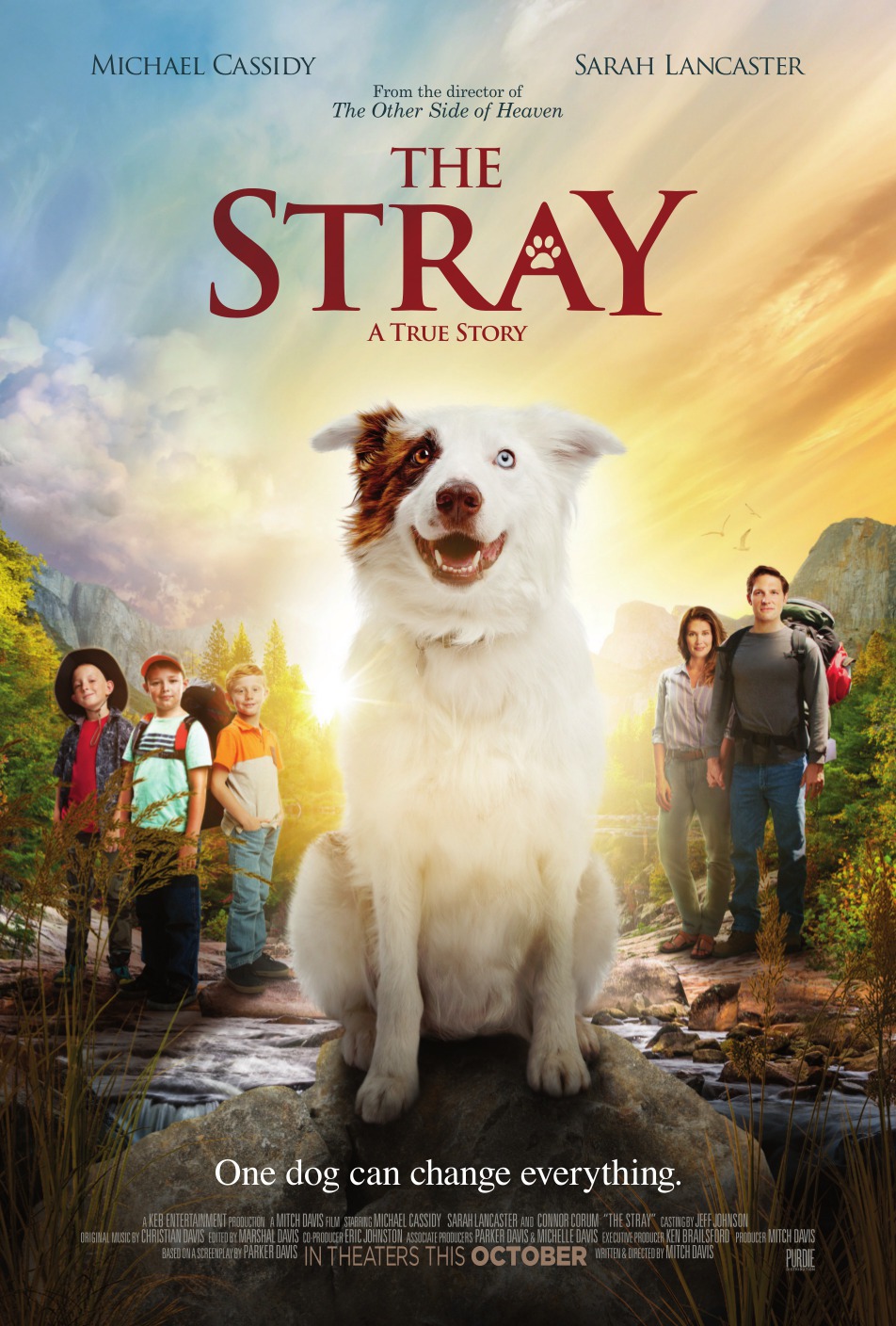 Extra Large Movie Poster Image for The Stray 