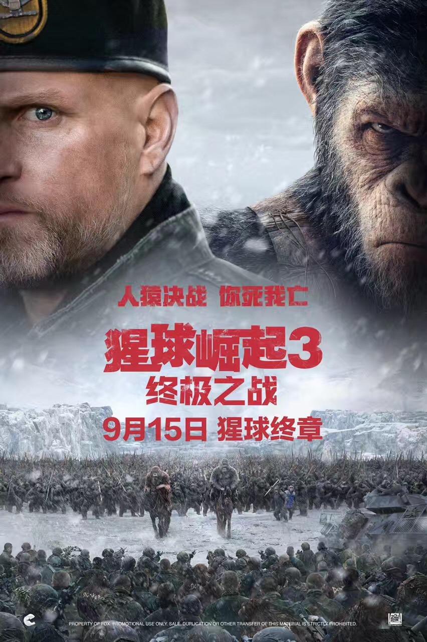 Extra Large Movie Poster Image for War for the Planet of the Apes (#15 of 17)