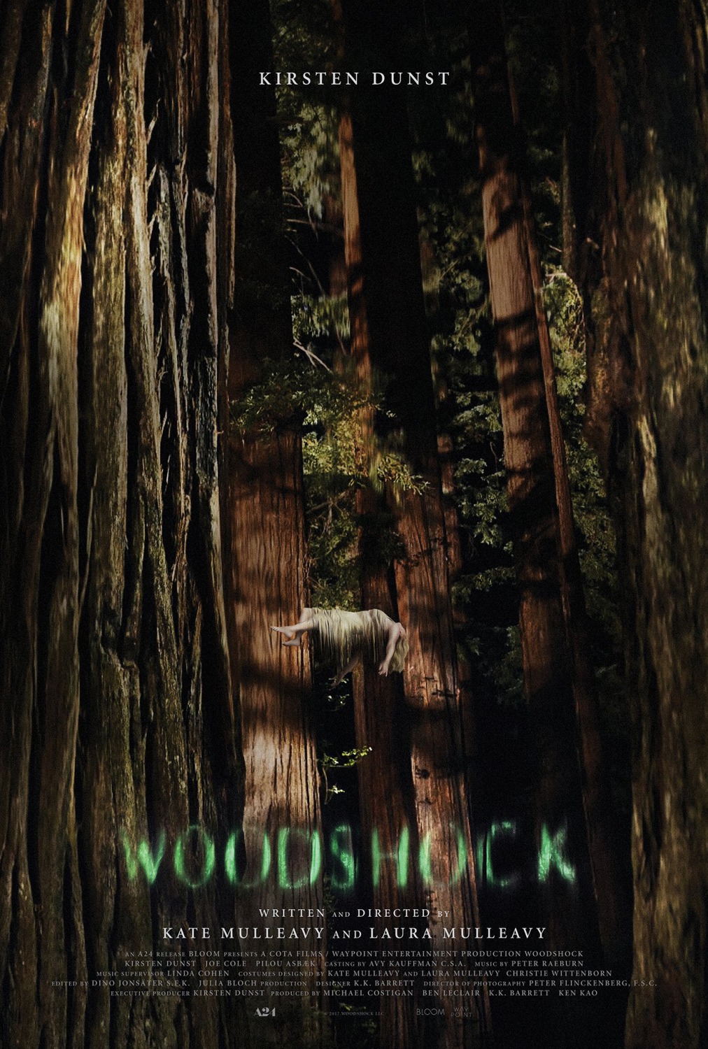Extra Large Movie Poster Image for Woodshock (#1 of 2)