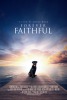 Forever Faithful (2017) Thumbnail
