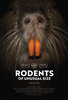 Rodents of Unusual Size (2017) Thumbnail