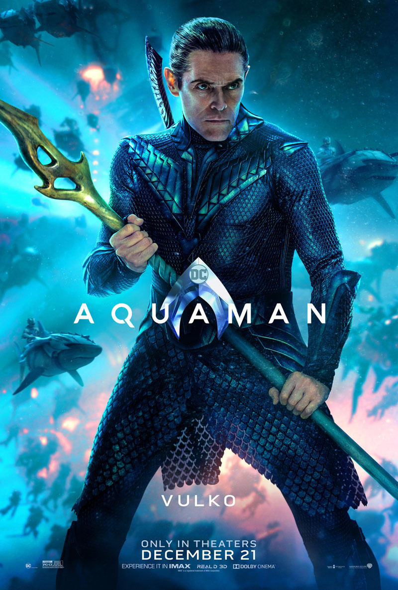 Extra Large Movie Poster Image for Aquaman (#10 of 22)