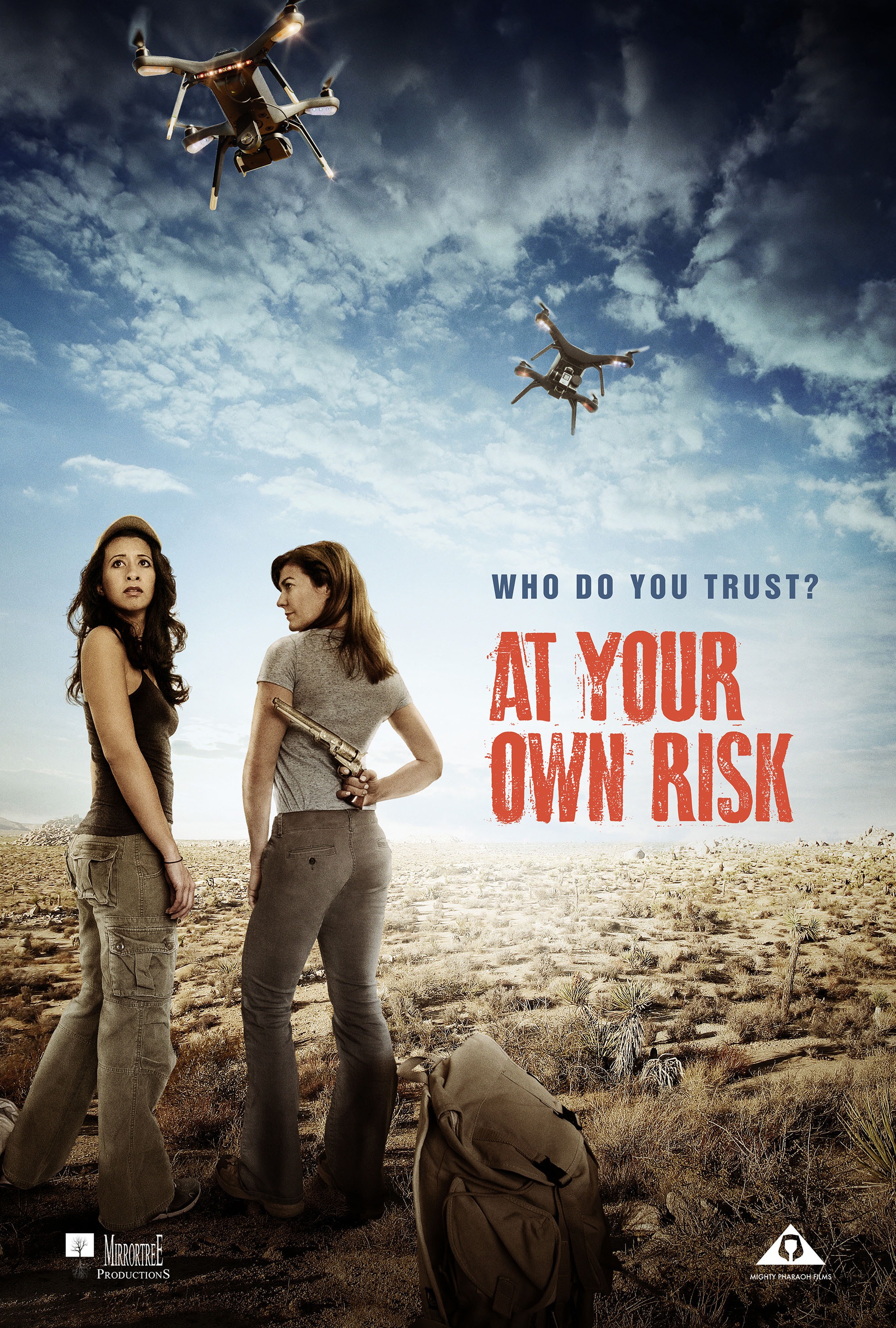 Mega Sized Movie Poster Image for At Your Own Risk (#3 of 3)