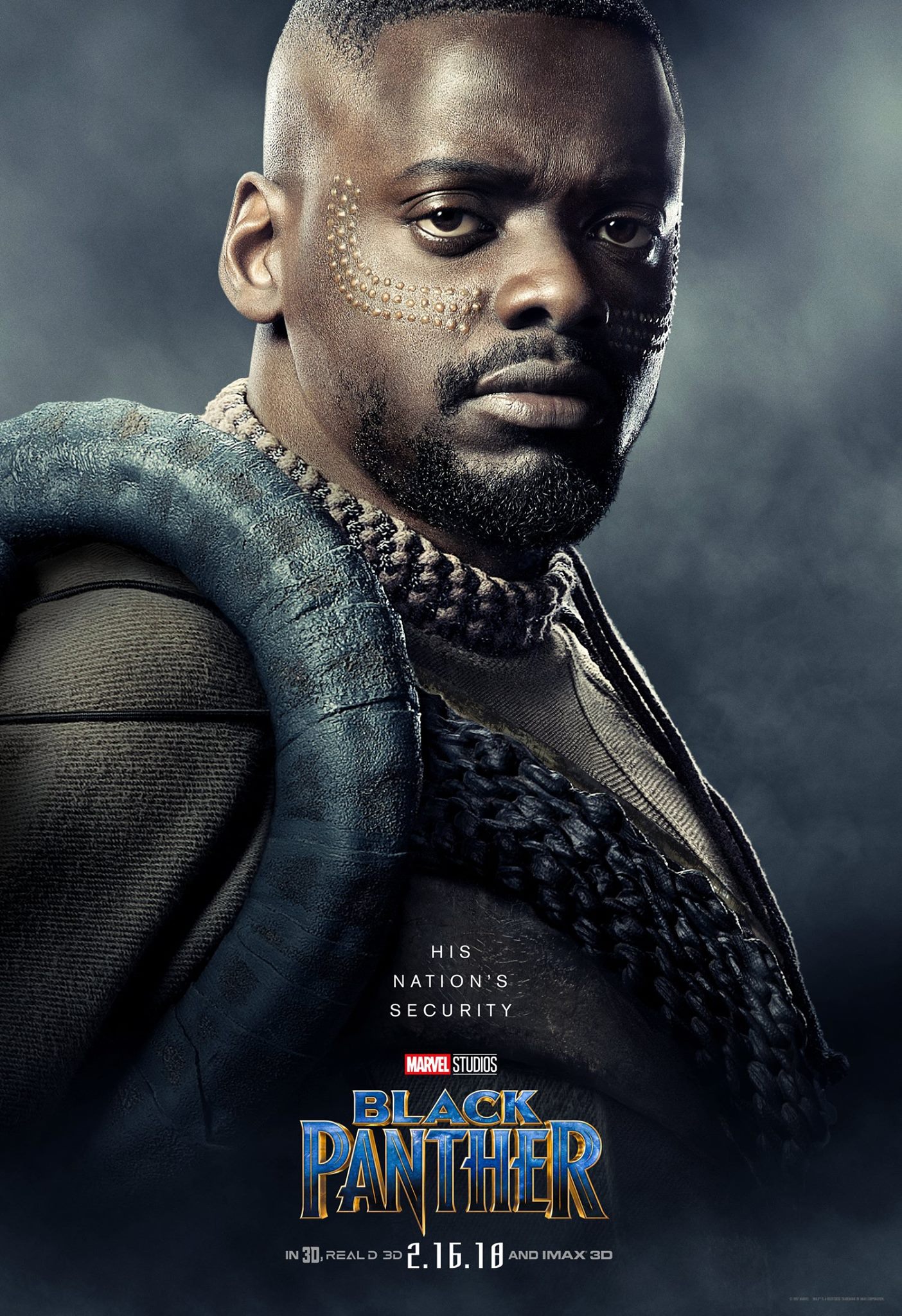 Mega Sized Movie Poster Image for Black Panther (#14 of 28)
