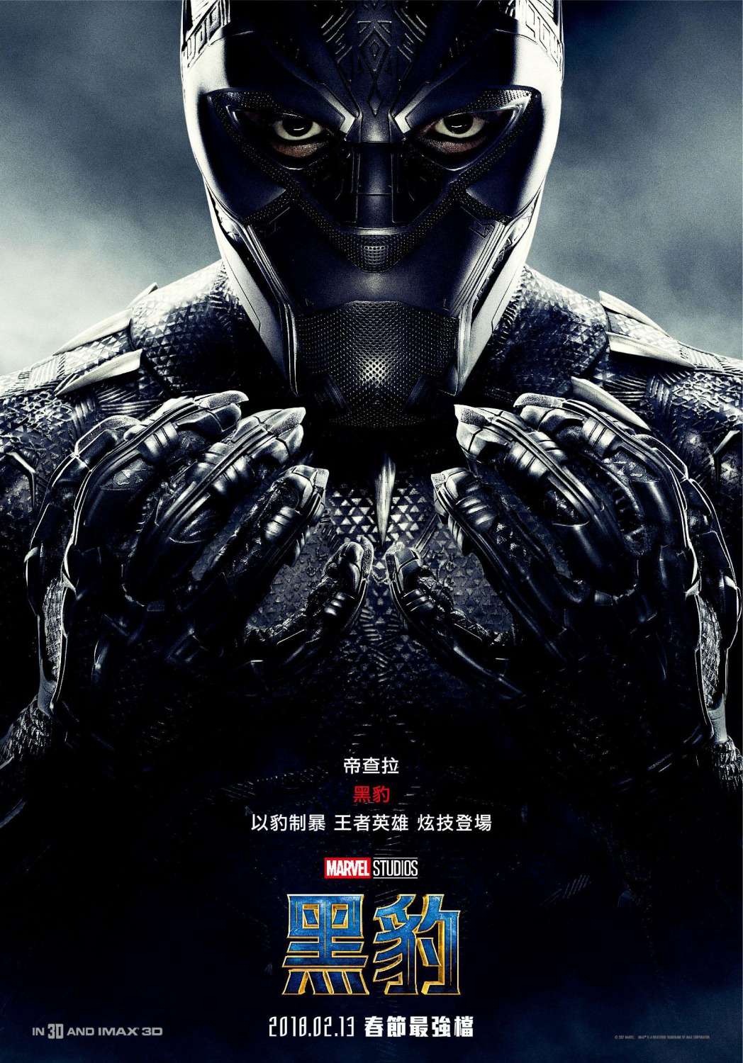 Extra Large Movie Poster Image for Black Panther (#15 of 29)