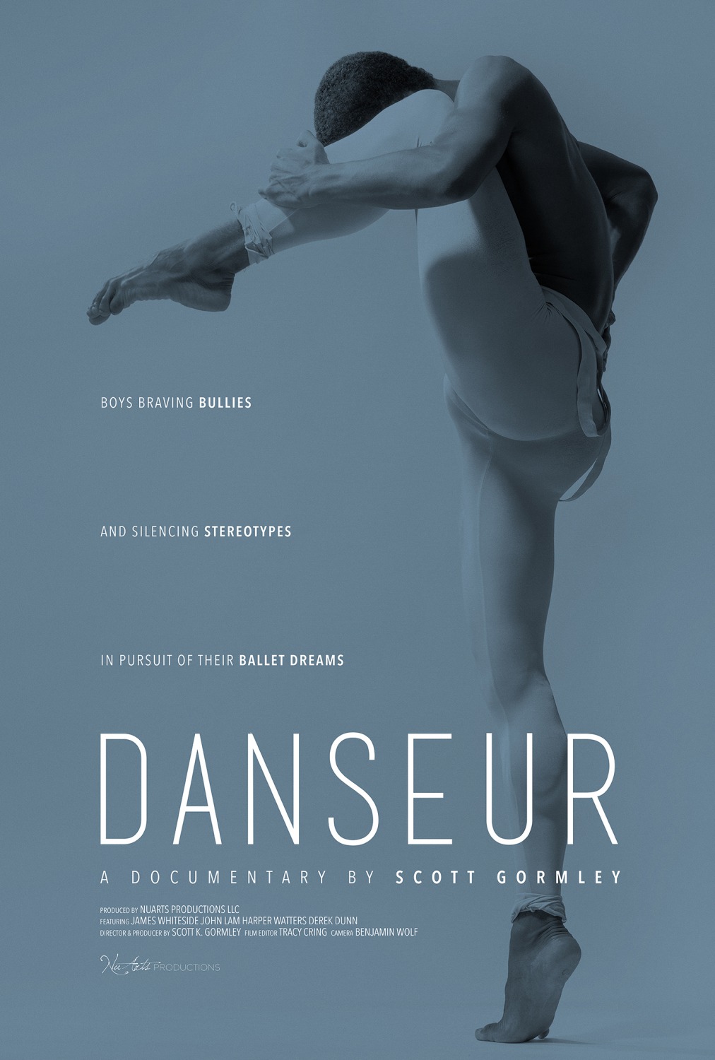 Extra Large Movie Poster Image for Danseur 
